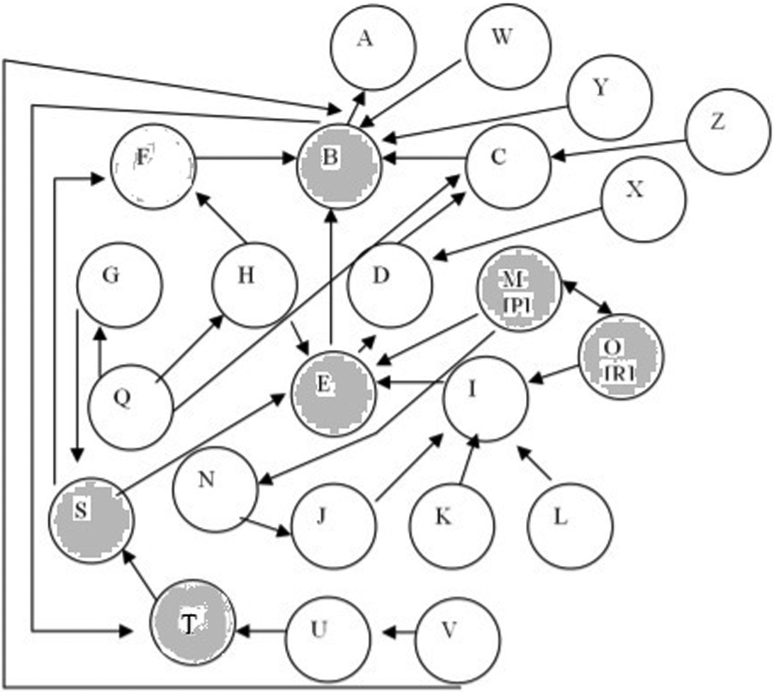 Abstract Argumentation for the wild animals domain as represented in [16]. Shaded nodes indicate cycles. P and R are arguments to accept M and O respectively.