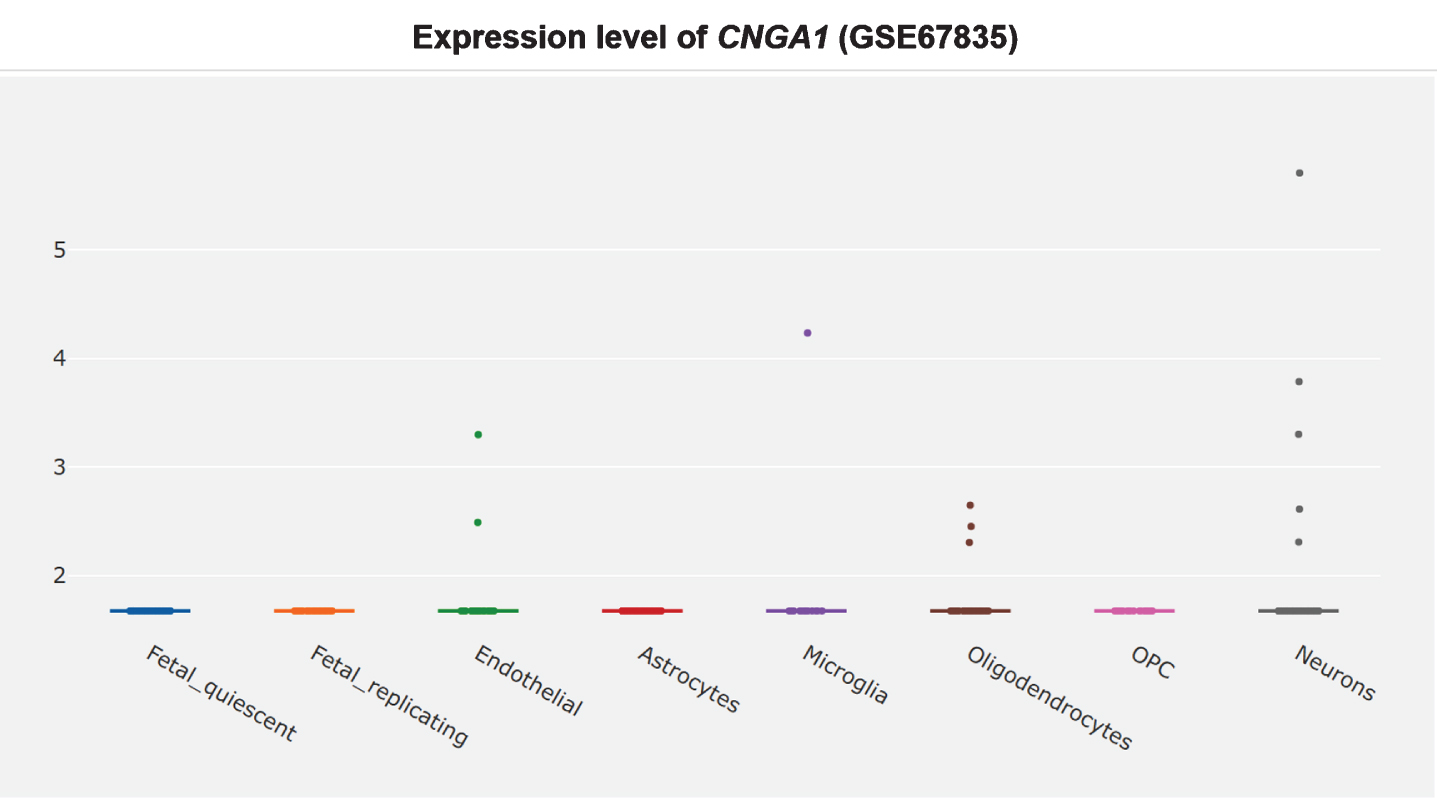 Cell type-specific expression of CNGA1 in non-AD temporal cortex, adapted from Xu et al. and Darmanis et al. with permission [360, 361].