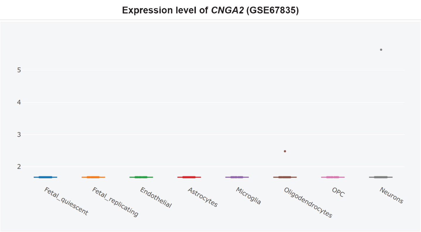 Cell type-specific expression of CNGA2 in non-AD temporal cortex, adapted from Xu et al. and Darmanis et al. with permission [360, 361].
