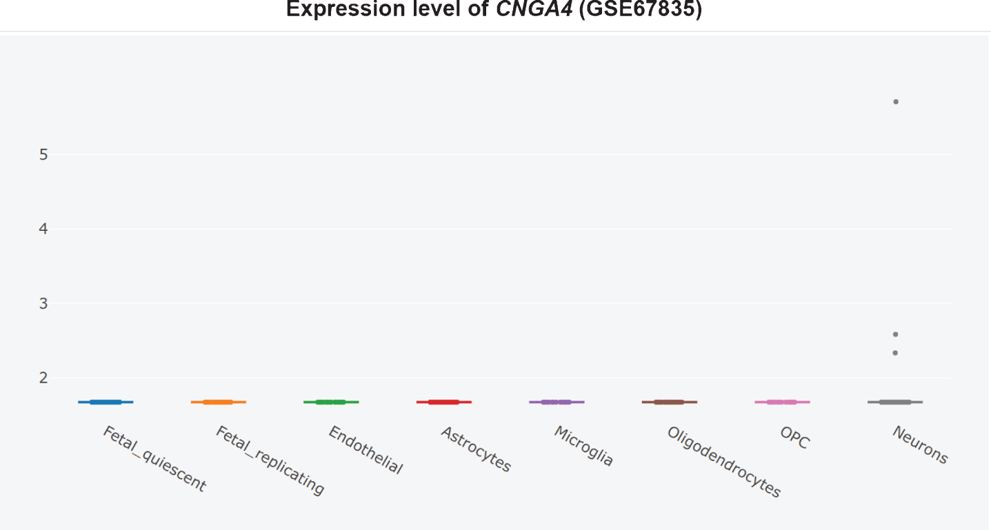 Cell type-specific expression of CNGA4 in non-AD temporal cortex, adapted from Xu et al. and Darmanis et al. with permission [360, 361].
