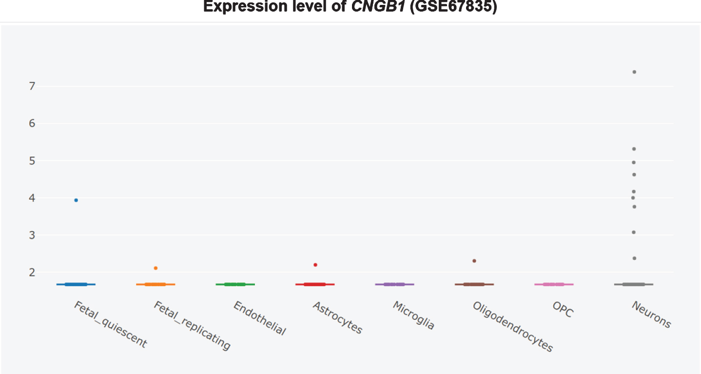 Cell type-specific expression of CNGB1 in non-AD temporal cortex, adapted from Xu et al. and Darmanis et al. with permission [360, 361].