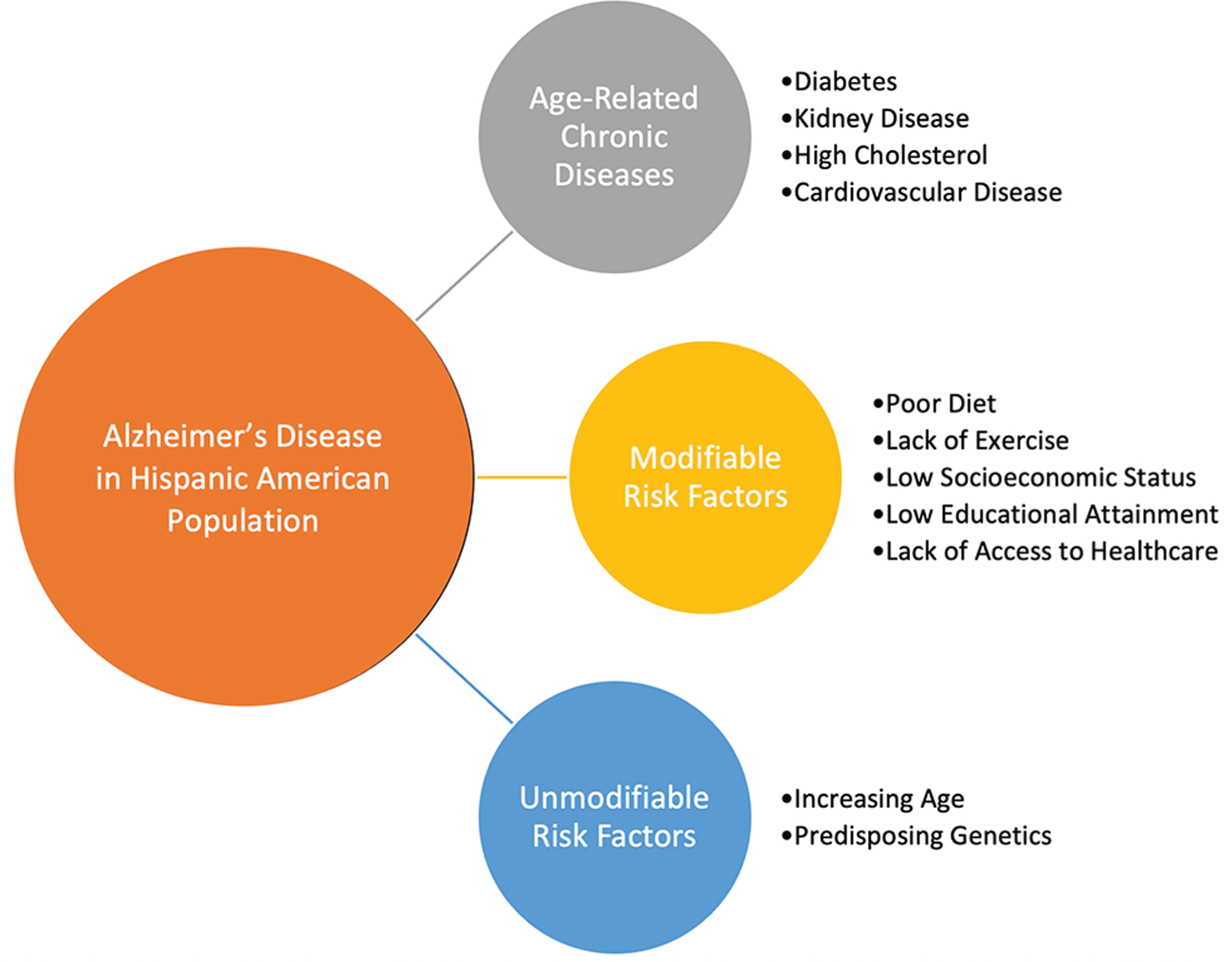 Summary of the Disadvantages Faced by Hispanic Americans in Overcoming the Burden of Alzheimer’s Disease.