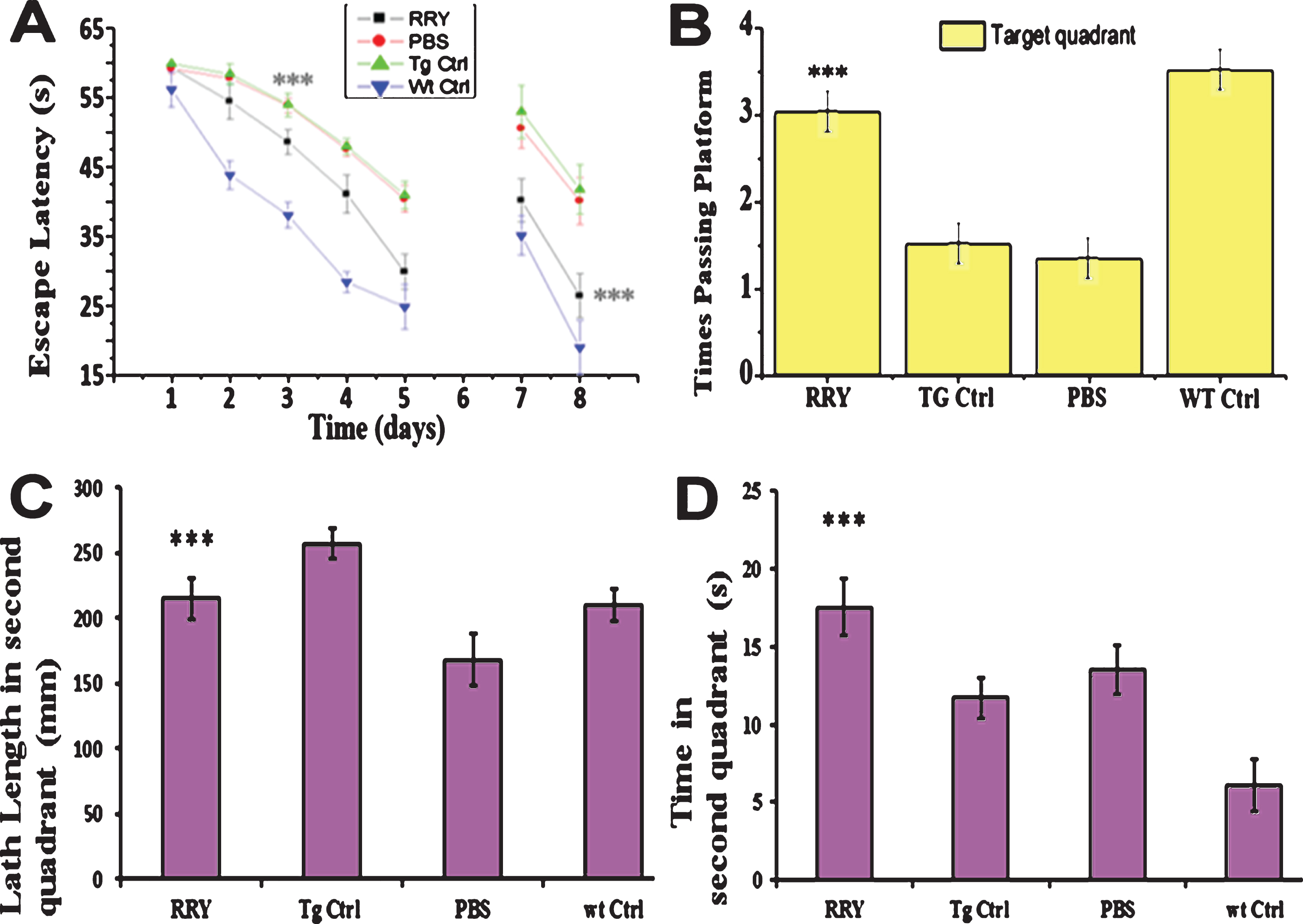RRY attenuates spatial memories deficit of the APP/PS1 transgenic mice in MWM. A) In the first day of acquisition test (visible platform), no significant difference of escape latencies among groups was observed (p > 0.05). During the 2nd day and the 5th day (hidden platform), the mice infuse with RRY showed a shorter latency compared to groups Tg Vehicle and Tg Ctrl (***p < 0.001). In the reversal test, a significant disparity was shown in the 7th and the 8th day (***p < 0.001). B-D) In the probe test on the 6th day, the mice of group RRY pass the platform area more frequently (B) (***p < 0.001), had longer path length (C) (p < 0.01), and stay longer on the platform (D) (***p < 0.001) in the target quadrant than group vehicle and group Tg Ctrl. n = 7.
