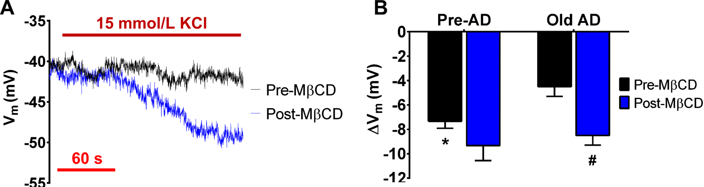 Reduction of membrane cholesterol restores endothelial KIR2 channel function during AD pathology. A) Representative recordings of KIR2 channel-mediated hyperpolarization in Old AD females in response to 15 mM KCl before and after 30 min washout of MβCD (1 mmol/L, 20 min). B) Summary data for peak ΔVm in response to KIR2 channel activation in Pre-AD versus Old AD females before and after MβCD treatment (30 min washout). Note that both Pre-AD and Old AD females show similar hyperpolarization to 15 mM KCl as ∼9 mV following MβCD treatment. n = number of animals and respective cerebral endothelial tubes (Pre-AD: 9; Old AD: 12). *p < 0.05 (unpaired t-test) for Old AD Female Pre-MβCD versus Pre-AD Female Pre-MβCD; #p < 0.05 (two-way ANOVA & paired t-test), Old AD female Post-MβCD versus Old AD female Pre-MβCD.