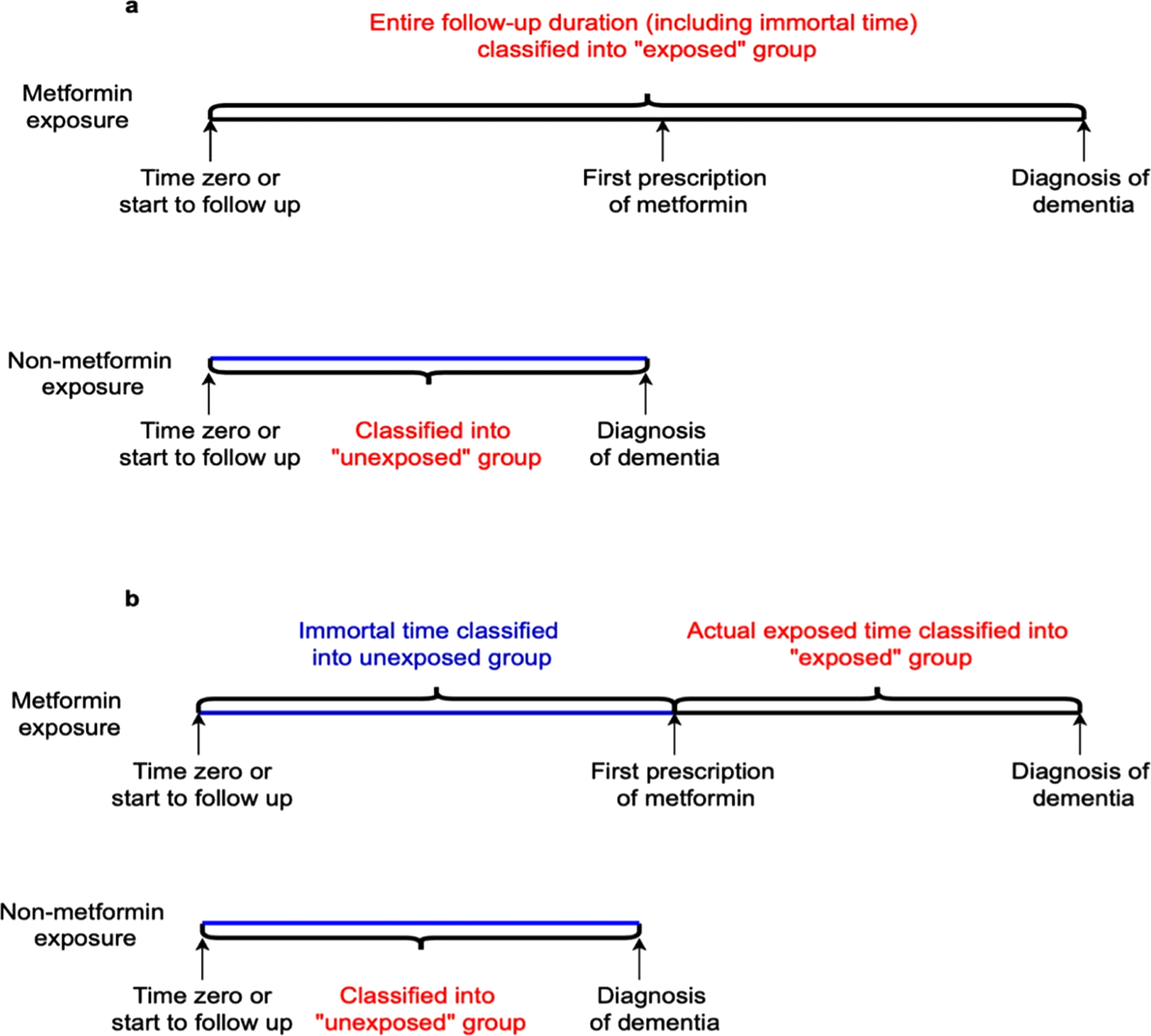 Immortal time bias. a) The entire follow-up duration, including immortal time, is classified into the exposure group, leading to immortal time bias, which can incorrectly show metformin having a protective effect on dementia risk. b) Immortal person time in the exposure group was classified into the unexposed group, showing a proper method to classify exposed and unexposed groups at time zero.