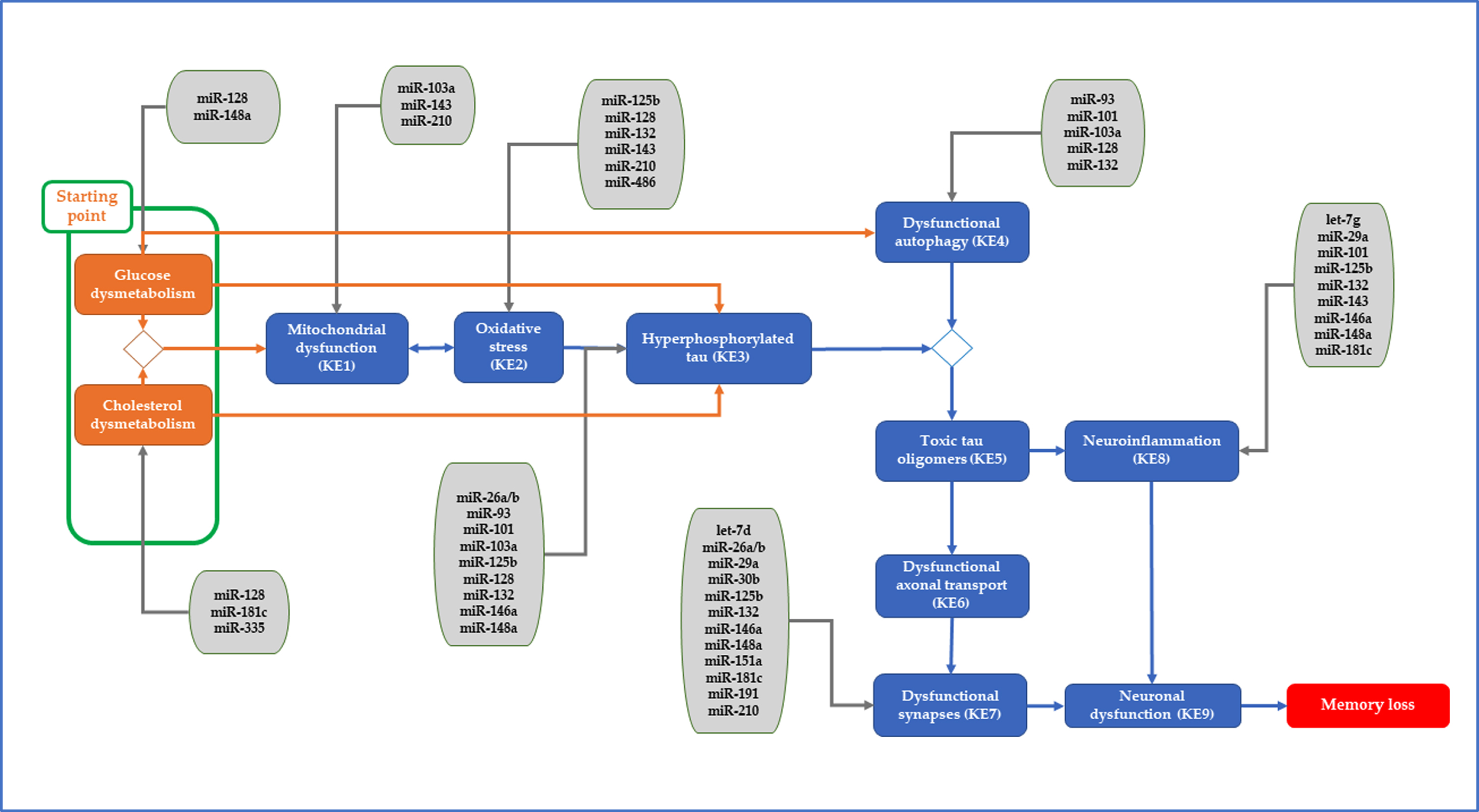 Identified miRs of interest were plugged into the starting point and/or key events of the proposed tau-driven AOP toward memory loss.