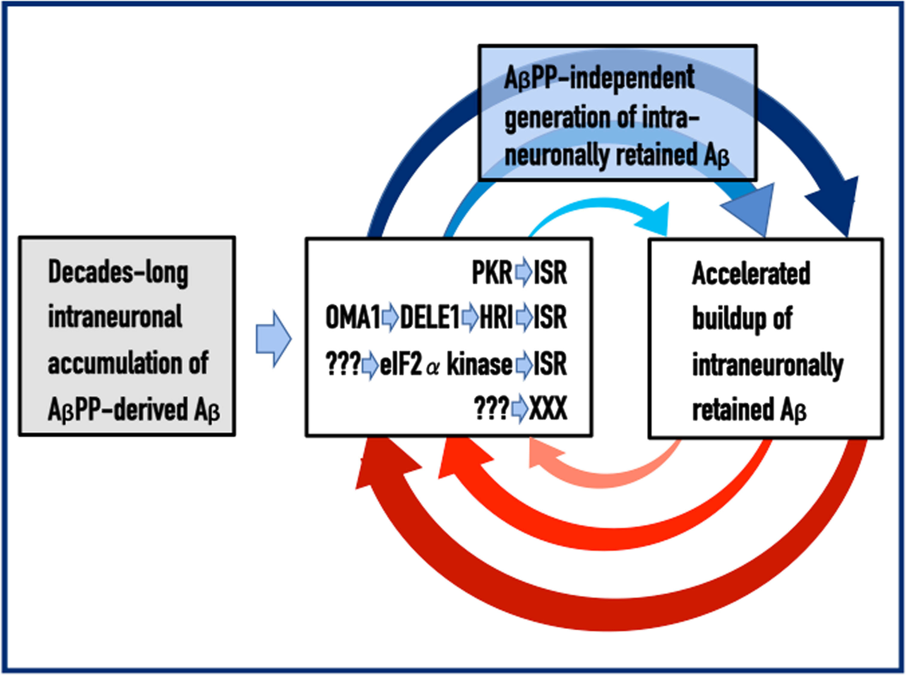 Principles of the Amyloid Cascade Hypothesis 2.0: The Engine that drives AD. Left box: The life-long accumulation of intraneuronal Aβ (iAβ) produced in the AβPP proteolytic pathway. It occurs via internalization of secreted extracellular Aβ and through retention within the neuron of a fraction of Aβ generated by gamma-cleavage of the C99 fragment of AβPP on intracellular rather than on plasma membranes. Middle box: iAβ, accumulated to the critical threshold, mediates the elicitation of the integrated stress response, ISR (or of a yet undefined pathway marked XXX). This occurs via the documented activation of two eIF2α kinases, PKR and HRI (other eIF2α kinases, or yet unidentified mediators denoted ???, could be also involved). Activated PKR and/or HRI phosphorylate eIF2α; this triggers the ISR. Top box: The ISR provides component(s) critical for the operation of the AβPP-independent iAβ generation pathway thus activating it; the bulk of the iAβ output in this pathway is retained intraneuronally. Right box: The increased influx of iAβ generated in the AβPP-independent pathway substantially elevates its steady-state levels, thus sustaining the activity of PKR and/or HRI that maintain the ISR, which propagates the operation of the AβPP-independent Aβ generation pathway and perpetuates the continuous influx of iAβ. These continuous cycles of iAβ-mediated propagation of its own generation constitute the Engine that drives AD. Arched arrows: The AD Engine, continuous cycles of iAβ-stimulated propagation of its own production.