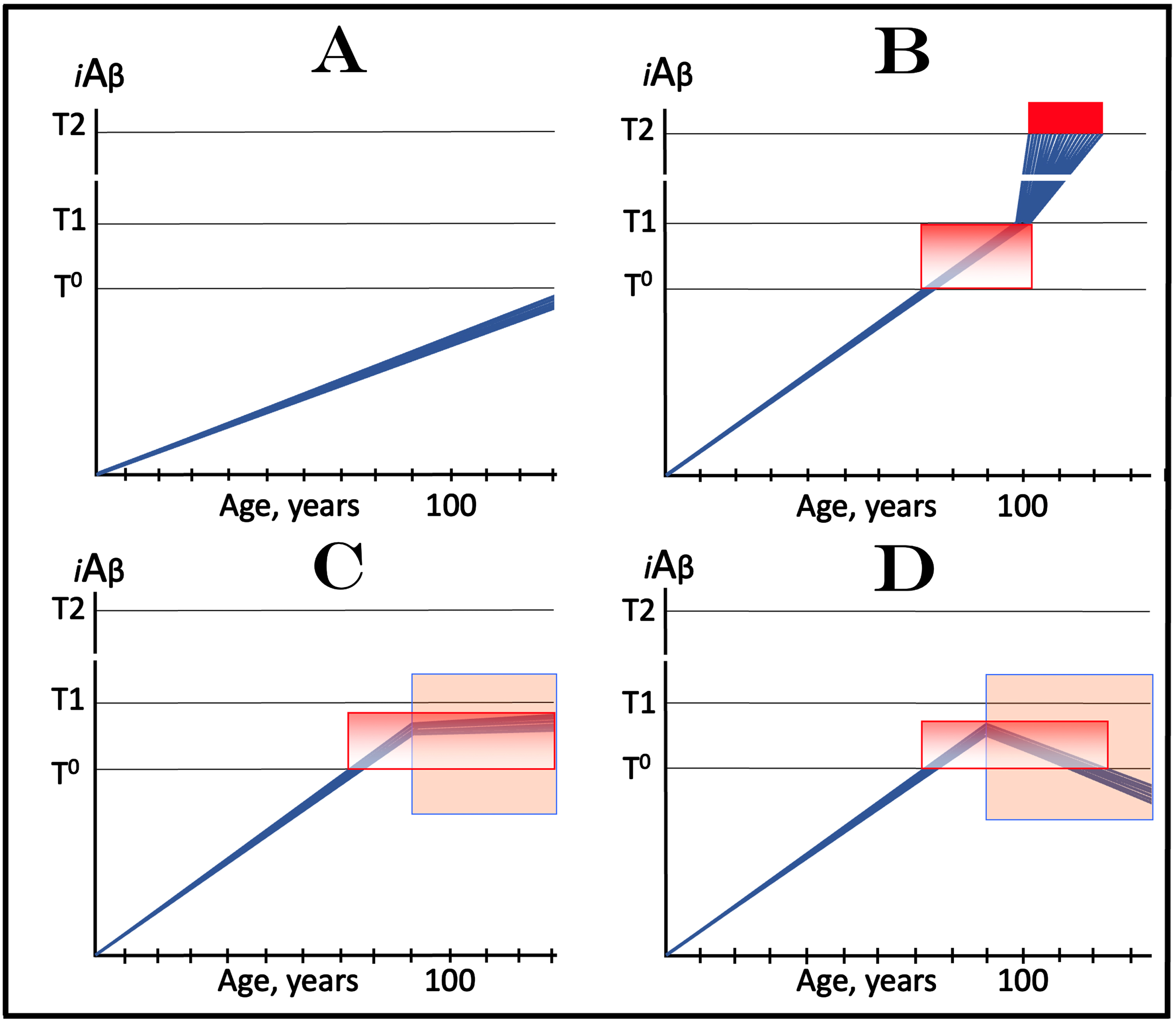 Effect of drugs targeting the influx of AβPP-derived iAβ in treatment of Aging-Associated Cognitive Decline (AACD). Blue lines: Levels of iAβ in individual AD-affected neurons. Threshold T0: iAβ levels that trigger neuronal damage manifesting as AACD. Threshold T1: The level of AβPP-derived iAβ that triggers cellular processes resulting in the activation of the AβPP-independent generation of iAβ. T2 threshold: Levels of iAβ triggering neuronal commitment to apoptosis. Red block: Apoptotic zone. Gradient-pink boxes: “AACD Zone”, the continuum of AβPP-derived iAβ levels between T0 and T1 thresholds. Orange fields: The duration of the treatment. Note that the treatment commences prior to the crossing of the T1 threshold and that the drug has no effect over the T1 threshold. Panel A: In healthy individuals, AβPP-derived iAβ levels do not cross the T0 threshold within their lifespan; consequently AACD does not occur. Panel B: AβPP-derived iAβ levels cross the T0 threshold and thus trigger AACD. As iAβ levels increase, so do the neuronal damage and the severity of the condition. If the T1 threshold is not crossed within the lifespan of an individual, AACD continues for the remaining portion of the individual’s lifetime (not shown). If and when AβPP-derived iAβ levels cross the T1 threshold, AACD morphs into AD. Panel C: The drug is administered within the AACD Zone. The rate of accumulation of AβPP-derived iAβ is reduced but its levels continue to increase. If the T1 threshold is not crossed within the remaining lifetime, AACD would not evolve into AD and the progression of AACD in the treated individual would slow down for the duration of the treatment. If, under the treatment, the T1 threshold would be eventually crossed (not shown), AACD would evolve into AD which would be unaffected by the drug. Panel D: The reduction in the influx of AβPP-derived iAβ is such that its accumulation is reversed and its levels are steadily decreasing for the duration of the treatment. The progression of AACD in the treated patient ceases. His/her condition improves and when the declining levels of AβPP-derived iAβ exit the AACD Zone, the patient would be, at least technically, “cured”.