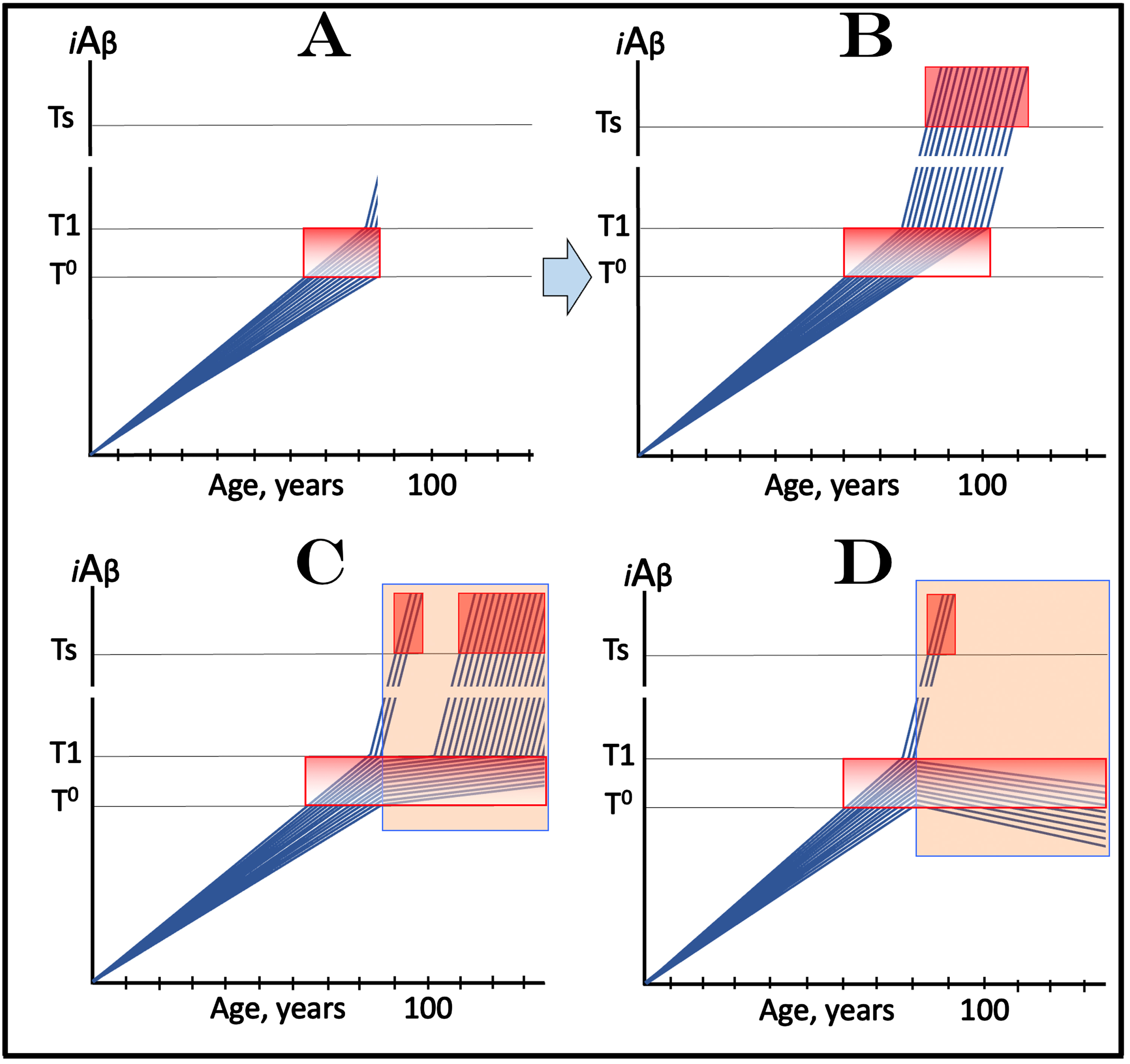 Design and outcomes of clinical trials of drugs targeting the influx of AβPP-derived iAβ in treatment of AACD, with a fraction of participants at over-T1 levels of iAβ. Blue lines: Levels of iAβ in individual trial participants. Threshold T0: iAβ levels that trigger neuronal damage manifesting as AACD. Threshold T1: The level of AβPP-derived iAβ that triggers cellular processes resulting in the activation of the AβPP-independent generation of iAβ. Ts threshold: Levels of iAβ triggering the manifestation of AD symptoms. Pink fields: AD Symptomatic Zone. Gradient-pink boxes: “AACD Zone”, the continuum of AβPP-derived iAβ levels between T0 and T1 thresholds. Orange fields: The duration of the treatment. Note that the treatment commences prior to the crossing of the T1 threshold and that the drug has no effect over the T1 threshold. Panel A: The initial state of iAβ levels in trial subjects. Panel B: Evolution of the initial condition in the absence of a drug. The initial over-T1 fraction ascends toward and crosses the Ts threshold. In all other participants, AβPP-derived iAβ levels cross the T1 threshold and activate the AβPP-independent iAβ generation pathway. When iAβ levels cross the Ts threshold, AD symptoms manifest. Panels C and D: Evolution of the initial state in the presence of the drug. In both panels, the initial over-T1 fraction is unaffected by the drug and proceeds unimpeded toward the Ts threshold; the drug affects only the participants who were initially sub-T1. In panel C the drug reduces the influx of AβPP-derived iAβ and its rate of accumulation decreases. In some participants this decrease is sufficient to prevent the T1 crossing within their lifespans. Participants whose AβPP-derived iAβ levels do eventually cross the T1 threshold enter the second AD stage but this occurs with a considerable delay in comparison with the placebo group. While participants’ condition remains AACD, their deterioration occurs slower than in the control group. In panel D the reduction of the influx of AβPP-derived iAβ is such that the rate of its accumulation is reversed and its levels decrease. Neither T1 crossing nor the manifestation of AD symptoms occur in participants who were initially sub-T1; their condition should improve and those whose iAβ levels decline below the T0 threshold would be technically cured. Note that the outcomes in the medicated and placebo cohorts would be similar for a substantial duration prior to their divergence.