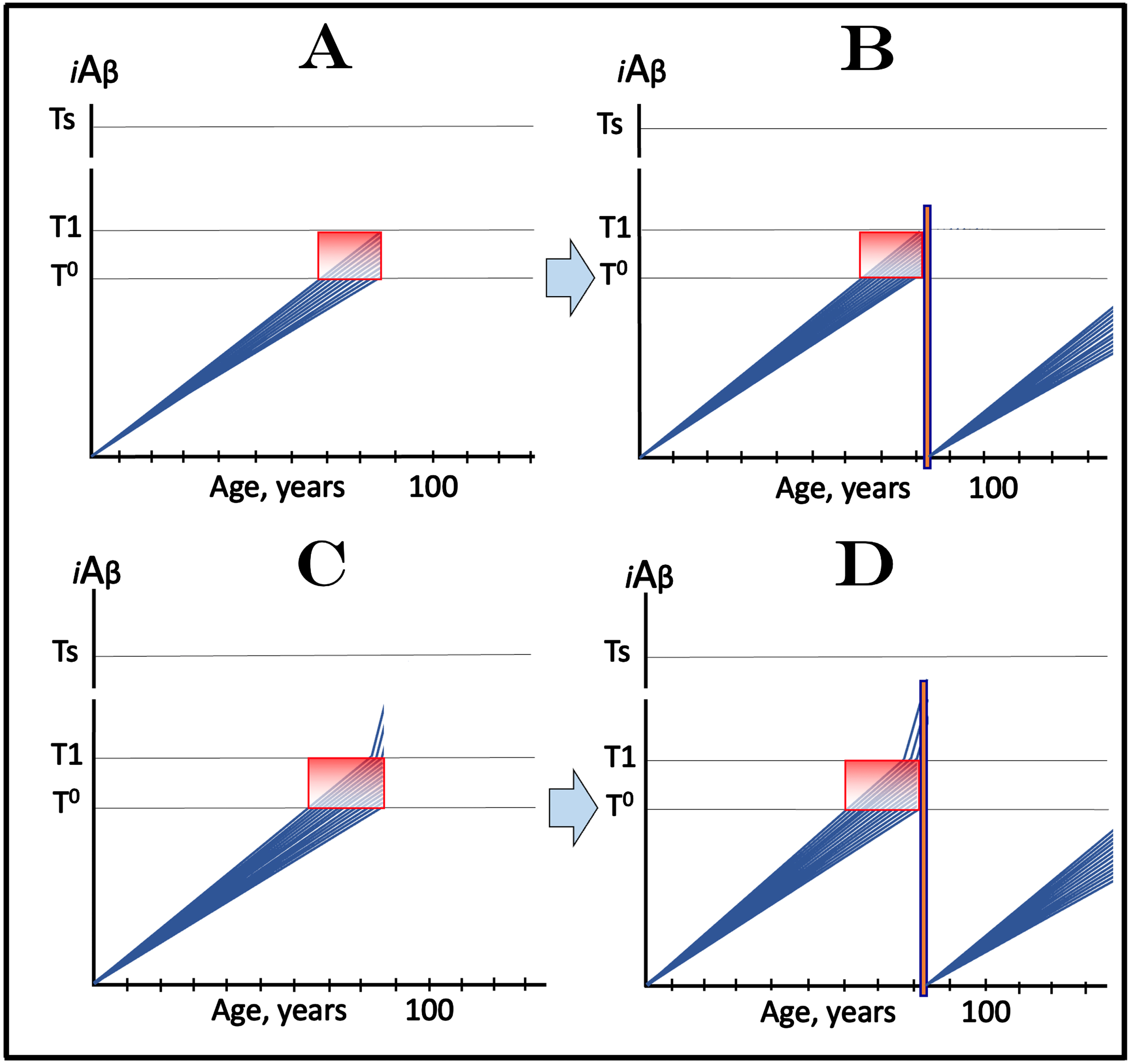 Design and outcomes of clinical trials of transiently implemented targeted iAβ degradation in treatment of AACD. iAβ: Level of intraneuronal Aβ. Blue lines: Levels of iAβ in individual trial participants. Threshold T0: iAβ levels that trigger neuronal damage manifesting as AACD. Threshold T1: The level of AβPP-derived iAβ that triggers cellular processes resulting in the activation of the AβPP-independent generation of iAβ and the commencement of the second AD stage. Ts threshold: Levels of iAβ triggering the manifestation of AD symptoms. Pink fields: AD Symptomatic Zone. Gradient-pink boxes: “AACD Zone”, the continuum of AβPP-derived iAβ levels between T0 and T1 thresholds. Orange boxes: Duration of the active transient iAβ depletion via its targeted degradation. Panels A and B: Effect of transient iAβ depletion via its targeted degradation in trials with all participants at sub-T1 levels of iAβ. Panel A: The initial state of iAβ levels in individual trial subjects. The evolution of this initial state (not shown) is identical to that depicted in Fig. 9B. Panel B: Evolution of the initial state following transient active depletion of iAβ via its targeted degradation. Levels of AβPP-derived iAβ in individual trial participants substantially decrease and its accumulation commences de novo from low baselines in the AβPP proteolytic pathway. Neither T0 threshold is crossed nor AACD occurs within the lifespans of the trial participants. Panels C and D: Effect of transient iAβ depletion via its targeted degradation in trials with a fraction of participants at over-T1 levels of iAβ. Panel C: The initial state of iAβ levels in individual trial subjects. The evolution of this initial state (not shown) is identical to that depicted in Fig. 10B. Panel D: Evolution of the initial state following transient active depletion of iAβ via its targeted degradation. The levels of iAβ are substantially depleted in ALL trial participants including the initial over-T1 fraction. The operation of the AβPP-independent iAβ production pathway ceases and the de novo accumulation of iAβ, generated now solely in the AβPP proteolytic pathway, commences from low baselines in ALL trial subjects. Neither the T0 threshold is reached nor AACD occurs within the remaining lifetime of individual trial subjects.