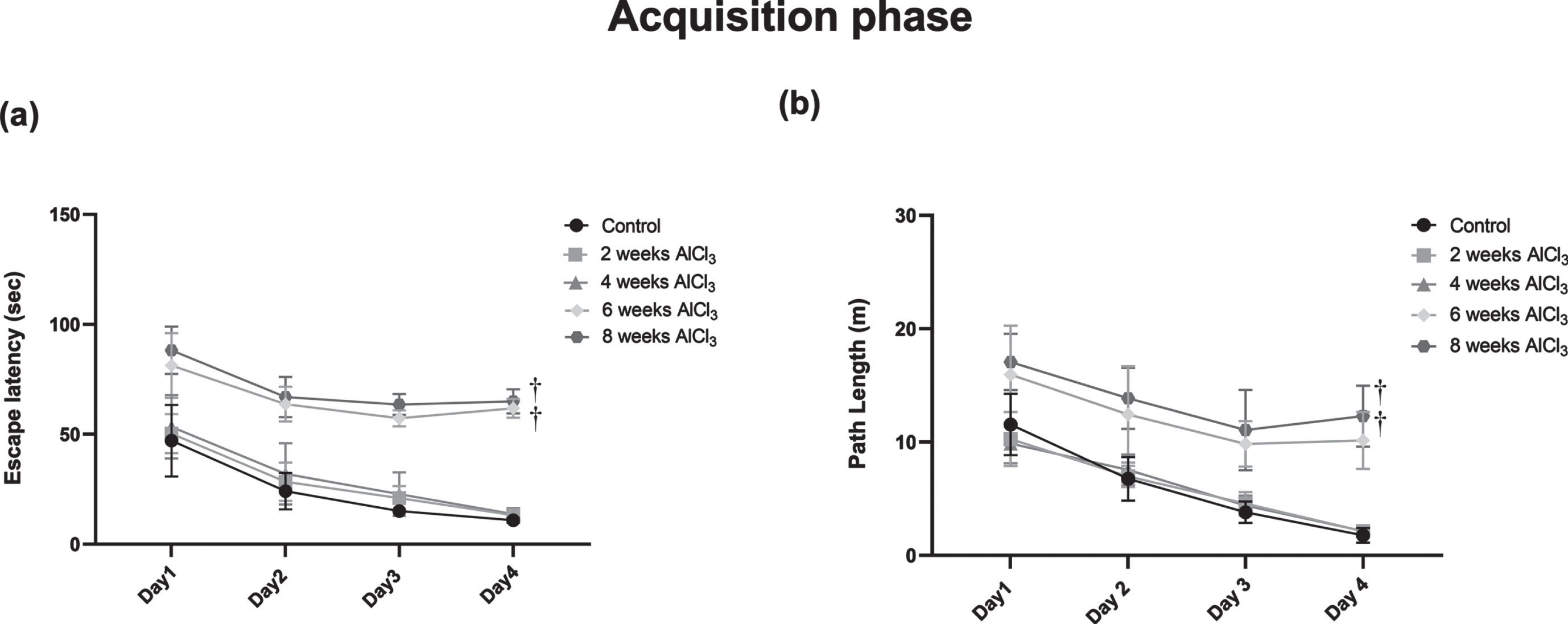 Effect of Aluminum on (a) mean escape latency and (b) path length in MWM test. Values are expressed as mean±S.D. †Level of significance (p < 0.05) in comparison to control group.