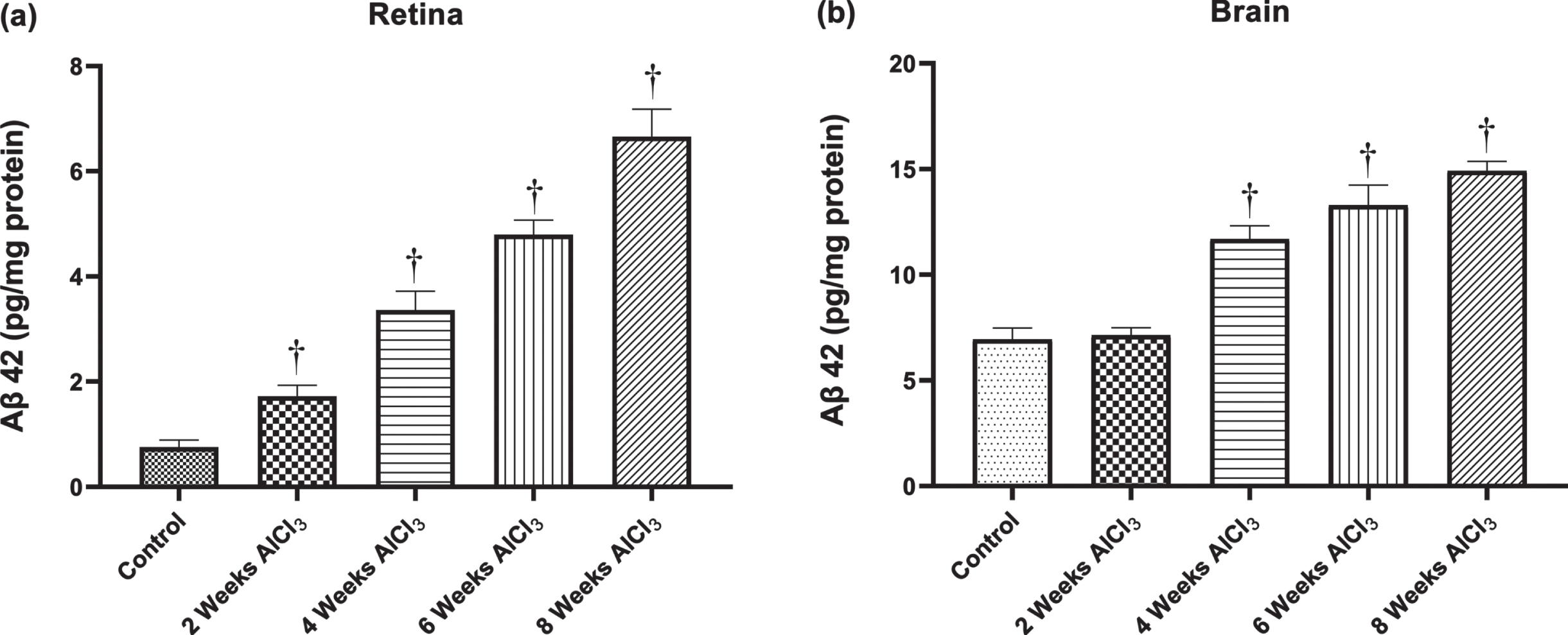 Concentration of Aβ42 in (a) retina and (b) brain. Values are expressed as mean±S.D. †Level of significance (p < 0.05) in comparison to control group.