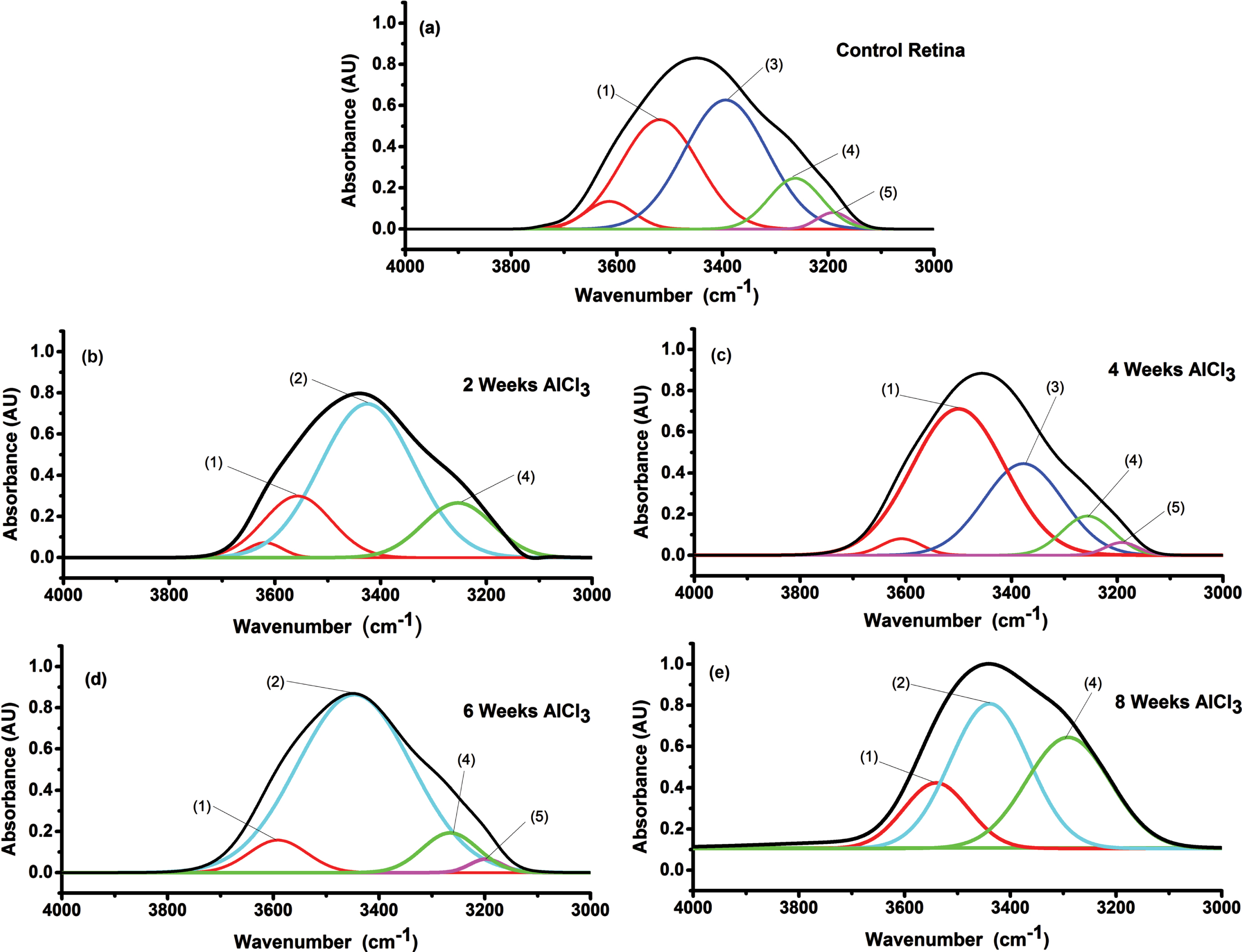 Deconvolution spectra of retinal tissue in NHOH region (4000-3000 cm-1) to all groups administrated AlCl3 compared to control. (1) strOH, (2) OHasym, (3) NHasym, (4) OHsym, and (5) NHsym.