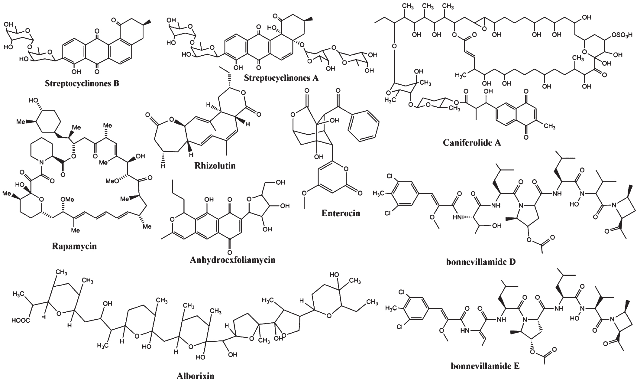 The chemical structures of Streptomyces sp. compounds with neuroprotective potential in Alzheimer’s disease model.