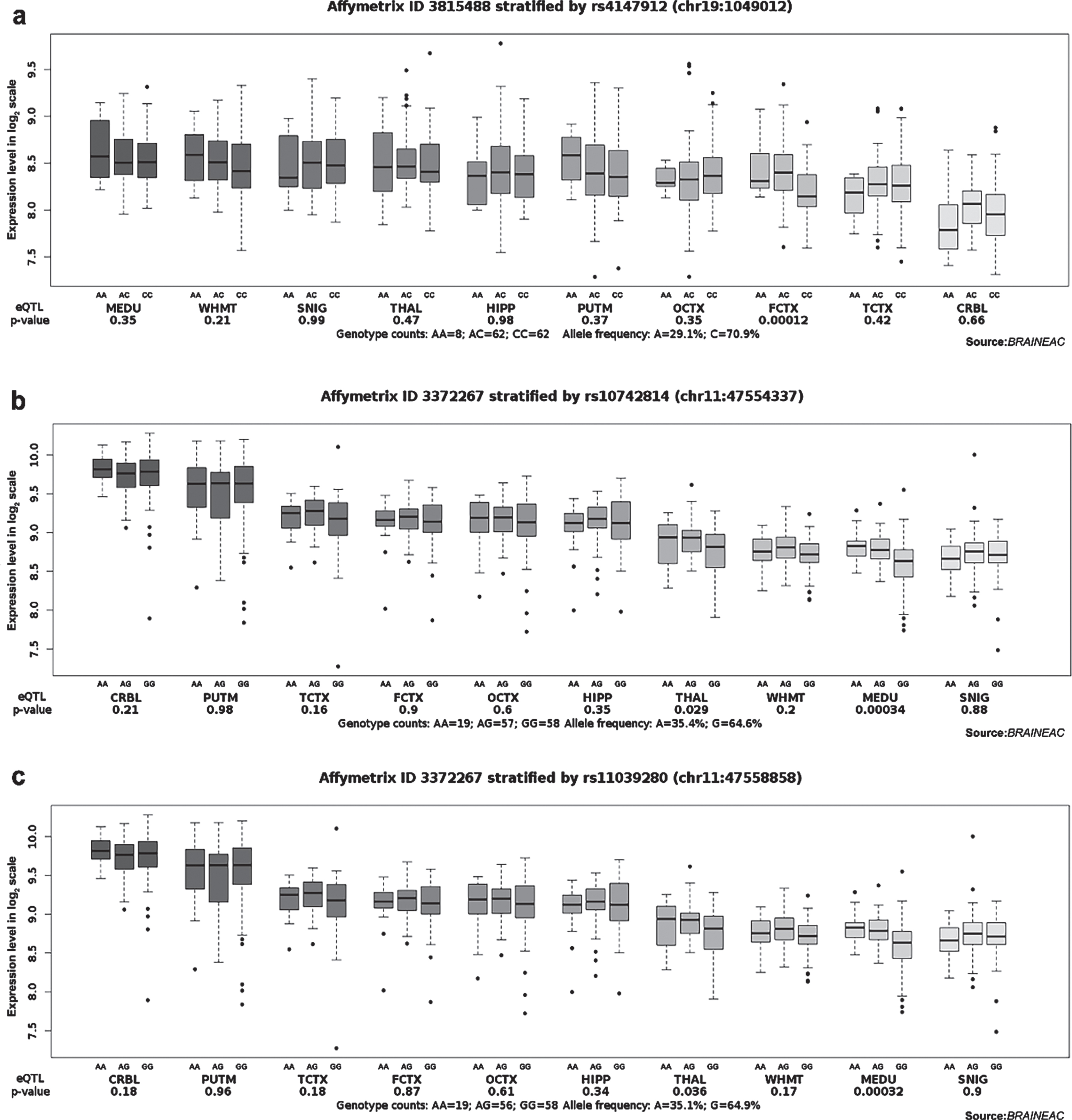 Effect of rs4147912, rs10742814, and rs11039280 on ABCA7 and CELF1 expression in normal human brain regions in Braineac. a) The A allele of rs4147912 increased ABCA7 expression in the frontal cortex with probe set 3815488 (p = 0.00012). b) The A allele of rs10742814 increased CELF1 expression in the medulla oblongata with probe set 3372267 (p = 0.00034). c) The A allele of rs11039280 increased CELF1 expression in the medulla oblongata with probe set 3372267 (p = 0.00032).