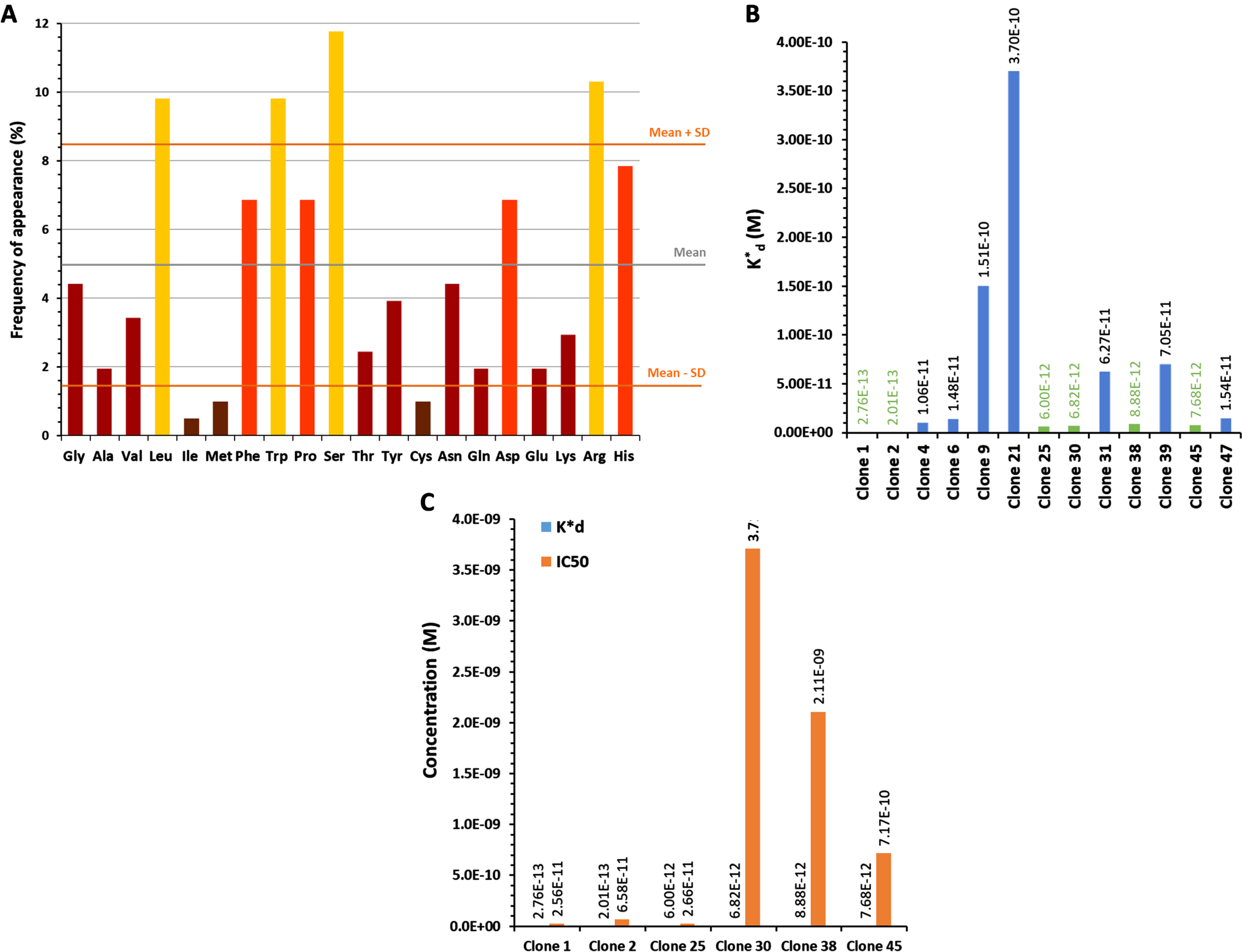 A) Frequency of amino acids in the 13 different peptide sequences obtained after DNA sequencing. B) Apparent dissociation constants (K*d) of the 13 representative clones against the C2-cPLA2-IVA. In green: selected clones based on their low K*d, reflecting a high affinity. C) K*d and IC50 of the 6 best clones.