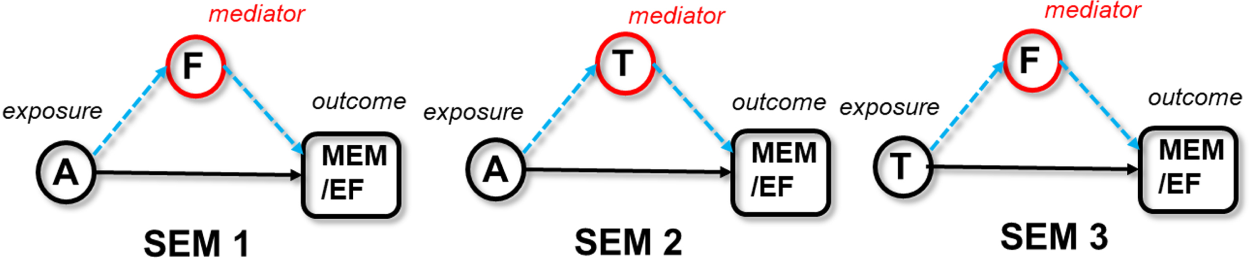 Three SEMs of AT[N] pathway in this paper.