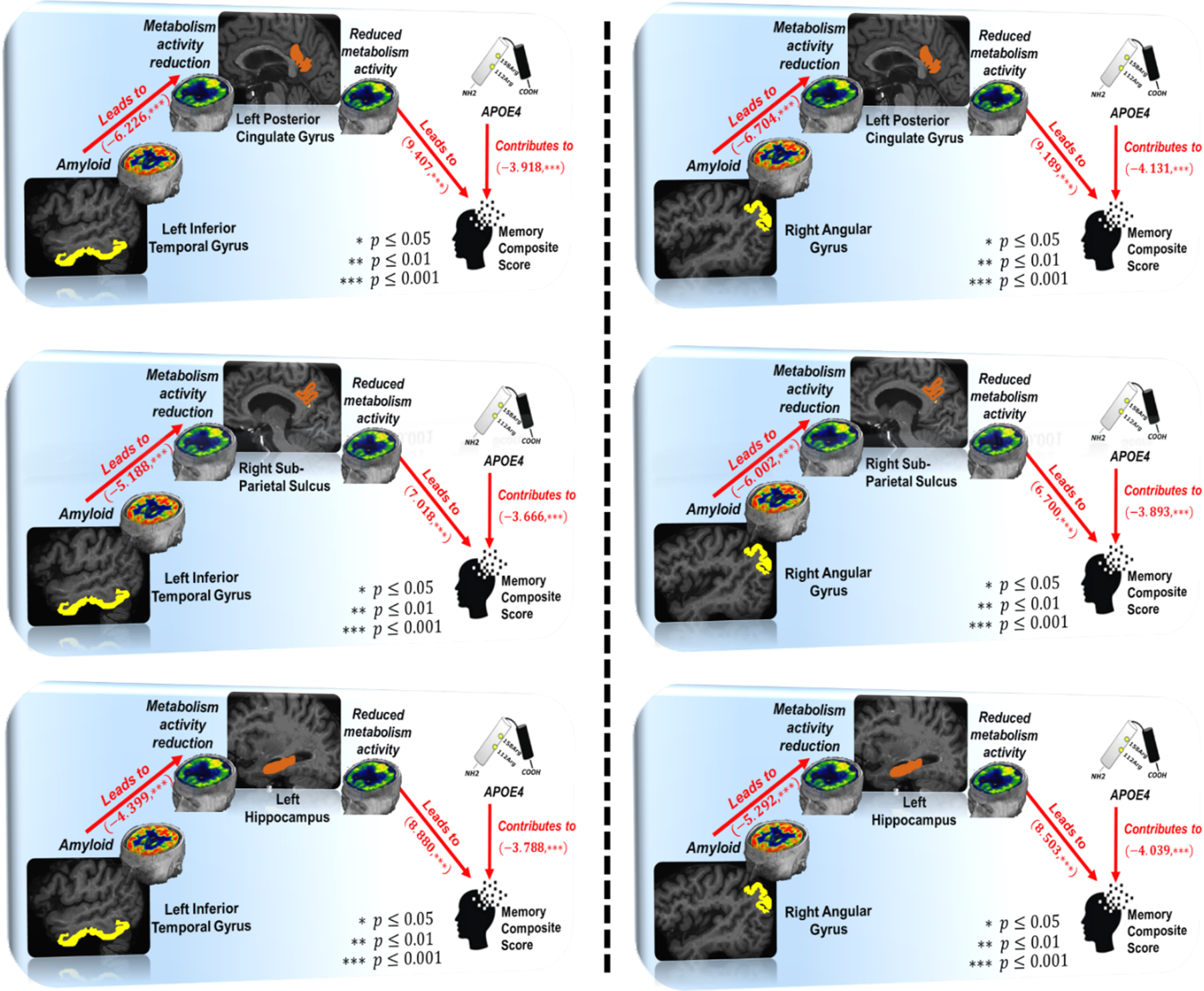 Graphic demonstration of mediated pathways in structural equation model A⟶F⟶MEM.