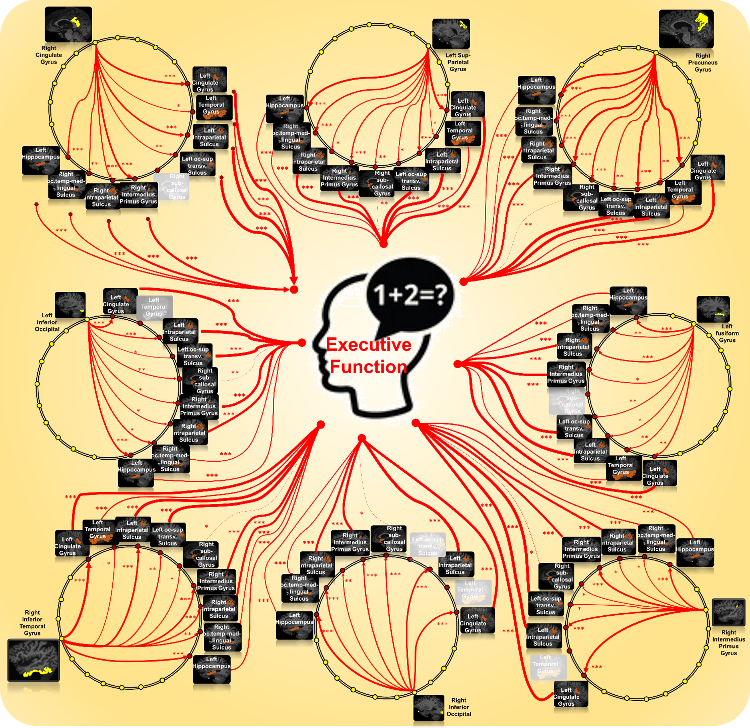 Graphic presentation of all 69 mediated A⟶N⟶EF region-to-region pathways.