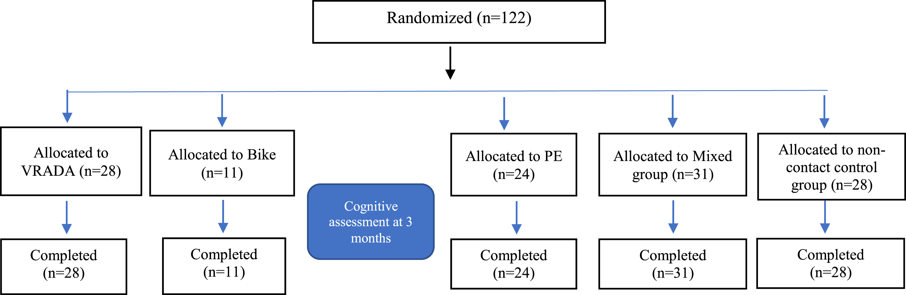 Diagram for the Cognitive Assessment.