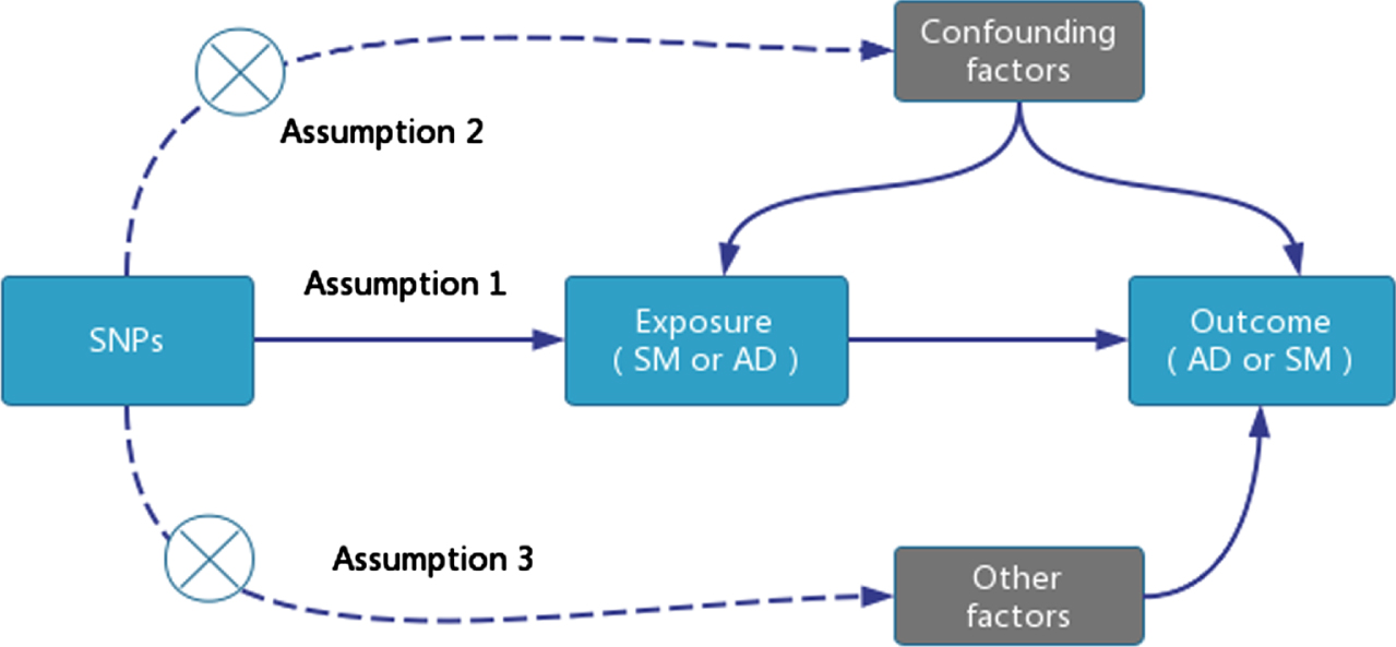 TSMR Research Design Model.