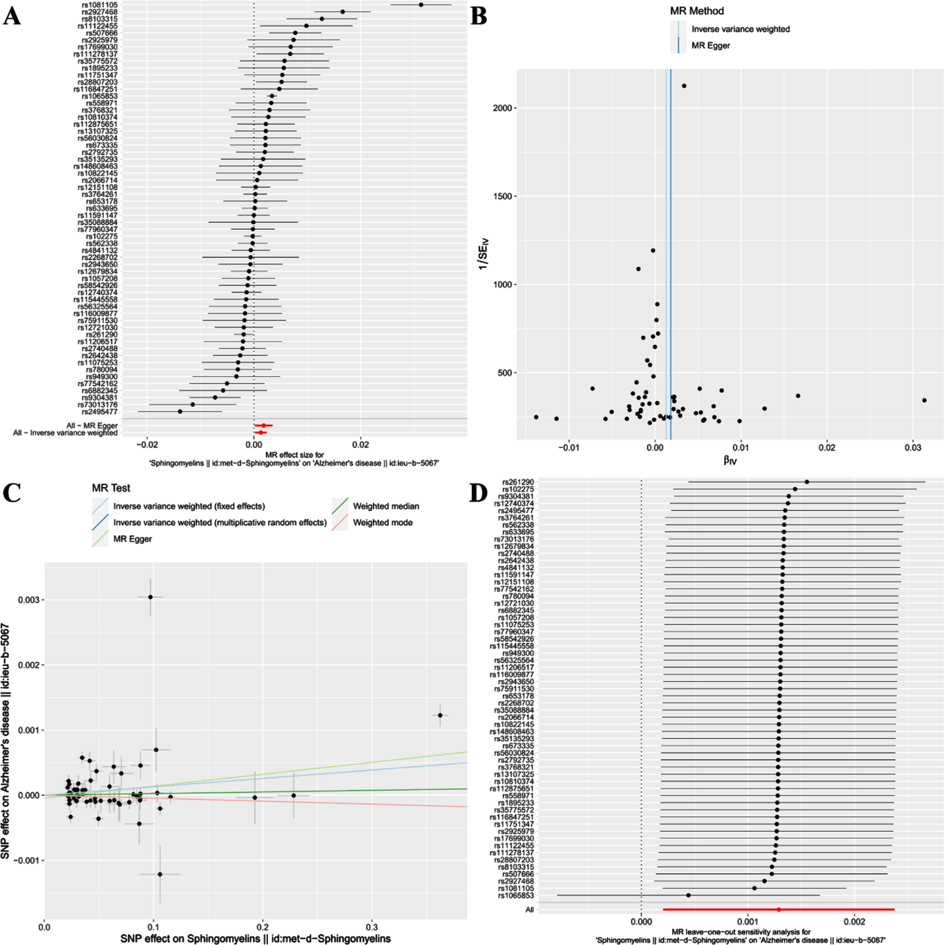 Forest plot (A), funnel plot (B), scatter plot (C), and leave-one-out plot (D) illustrating the causal relationship between SM and AD.