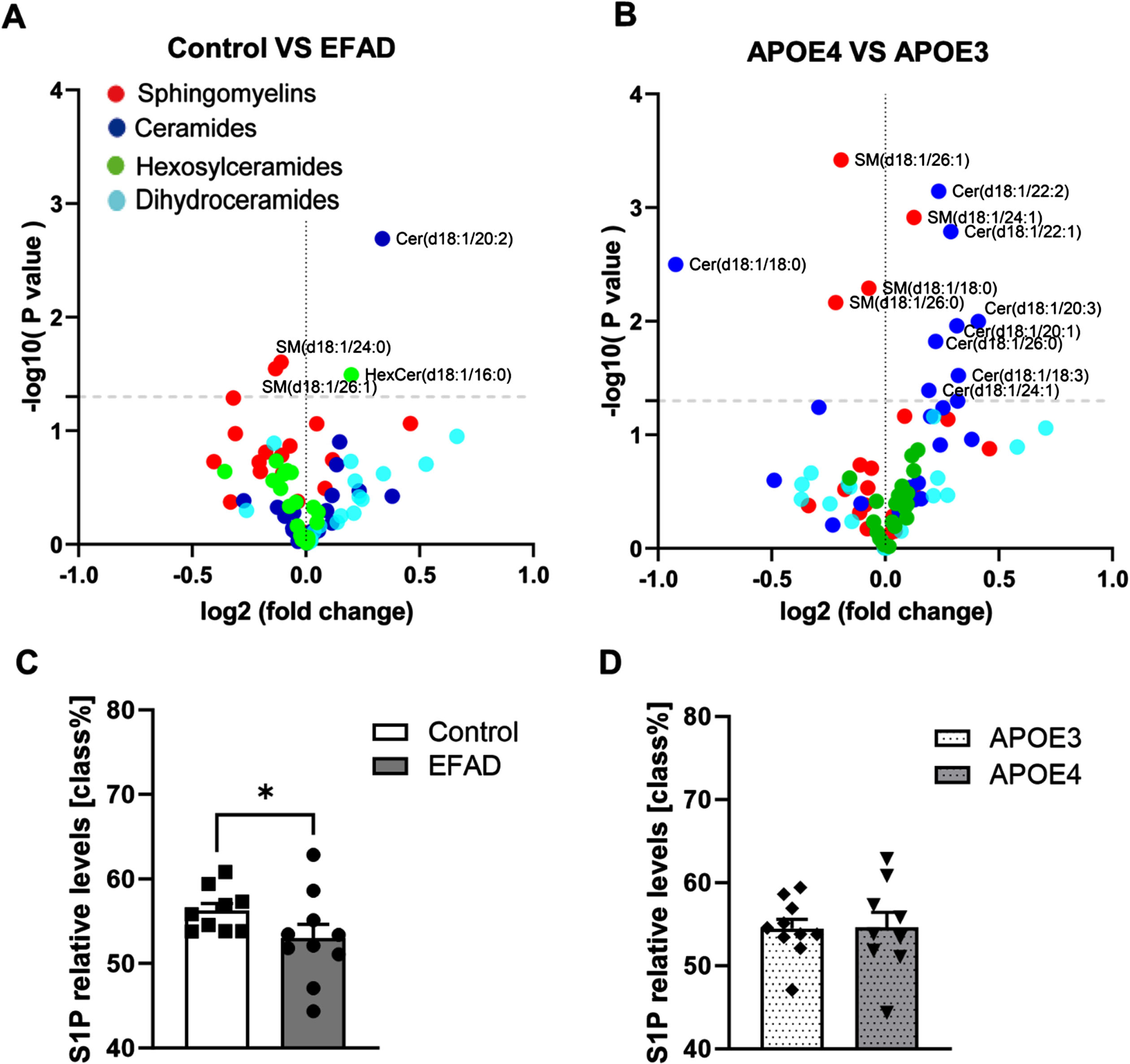 LC-ESI/MS/MS measurements of ceramide, sphingomyelin, dihydroceramide, and monohexosyl-ceramide levels in the cortex. A) Volcano plot depicting sphingolipid changes between AD (E3FAD, N = 5; E4FAD, N = 5) and control (APOE3, N = 5; APOE4, N = 4) groups. B) Volcano plot showing differences in sphingolipid levels between APOE4 mice (APOE4, N = 4; E4FAD, N = 5) and APOE3 mice (APOE3, N = 5; E3FAD, N = 5). C, D) Changes in S1P levels between control and EFAD mice, and between APOE3 and APOE4 mice, respectively. Data are expressed as mean±SEM. *p < 0.05.