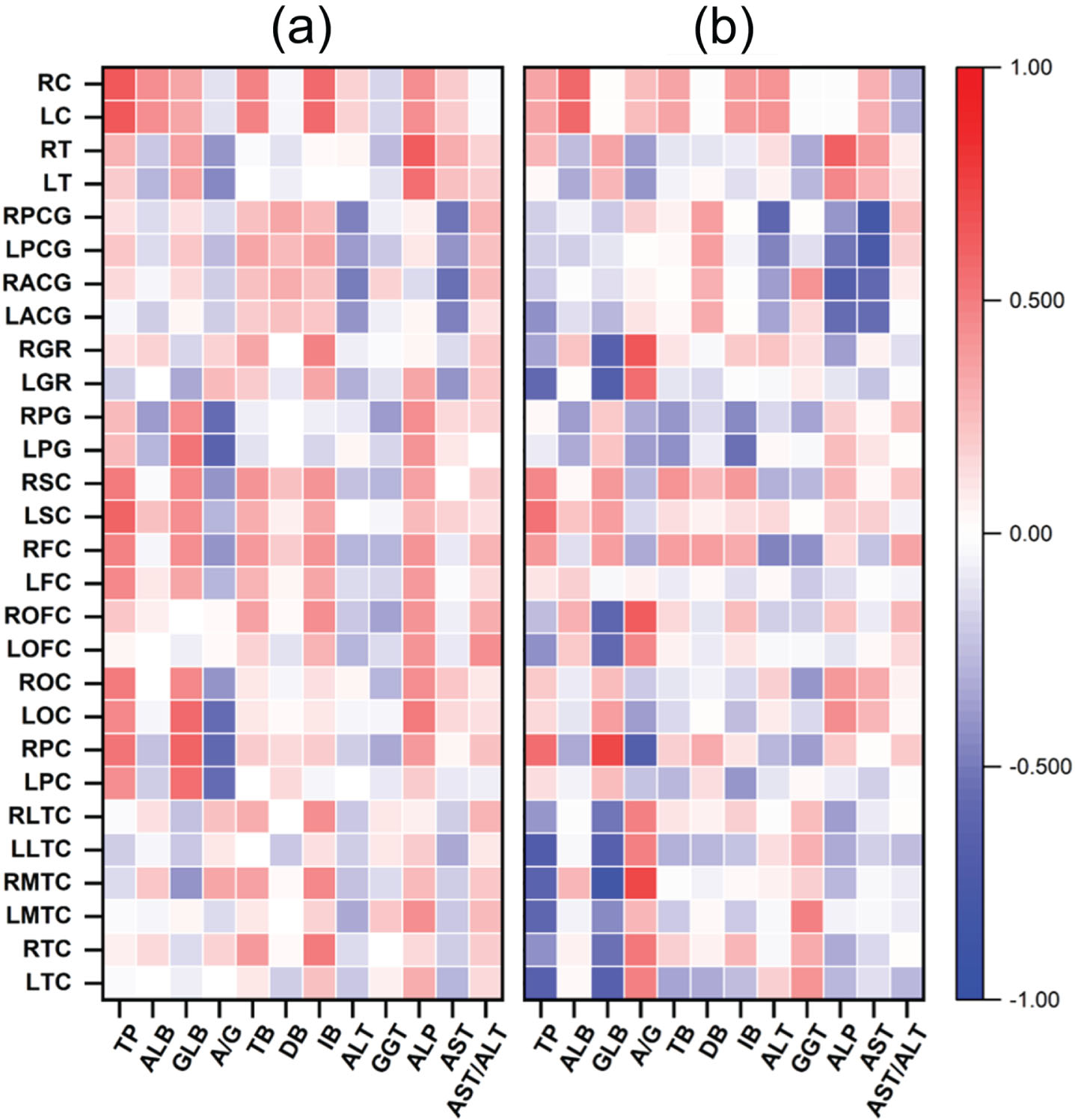 Correlation heatmap to overview the associations between liver function markers and regional cerebral blood flow. (a) Absolute regional cerebral blood flow. (b) Standardized regional cerebral blood flow. TP, total protein; ALB, albumin; GLB, globin; A/G, the ratio of albumin to globin; ALT, alanine transaminase; GGT, γ-glutamyl transpeptidase; ALP, alkaline phosphatase; AST, aspartate aminotransferase; AST/ALT, the ratio of aspartate aminotransferase to alanine transaminase; LTC, left temporal cortex; RTC, right temporal cortex; LMTC, left medial temporal cortex; RLTC, right medial temporal cortex; LLTC, left lateral temporal cortex; RLTC, right lateral temporal cortex; LPC, left parietal cortex; RPC, right parietal cortex; LOC, left occipital cortex; ROC, right occipital cortex; LOFC, left orbitofrontal cortex; ROFC, right orbitofrontal cortex; LFC, left frontal cortex; RFC, right frontal cortex; LSC, left sensorimotor cortex; RSC, right sensorimotor cortex; LPG, left precuneus gyrus; RPG, right precuneus gyrus; LGR, left gyrus rectus; RGR, right gyrus rectus; LACG, left anterior cingulate gyrus; RACG, right anterior cingulate gyrus; LPCG, left posterior cingulate gyrus; RPCG, right posterior cingulate gyrus; LT, left thalamus; RT, right thalamus; LC, left cerebellum; RC, right cerebellum.