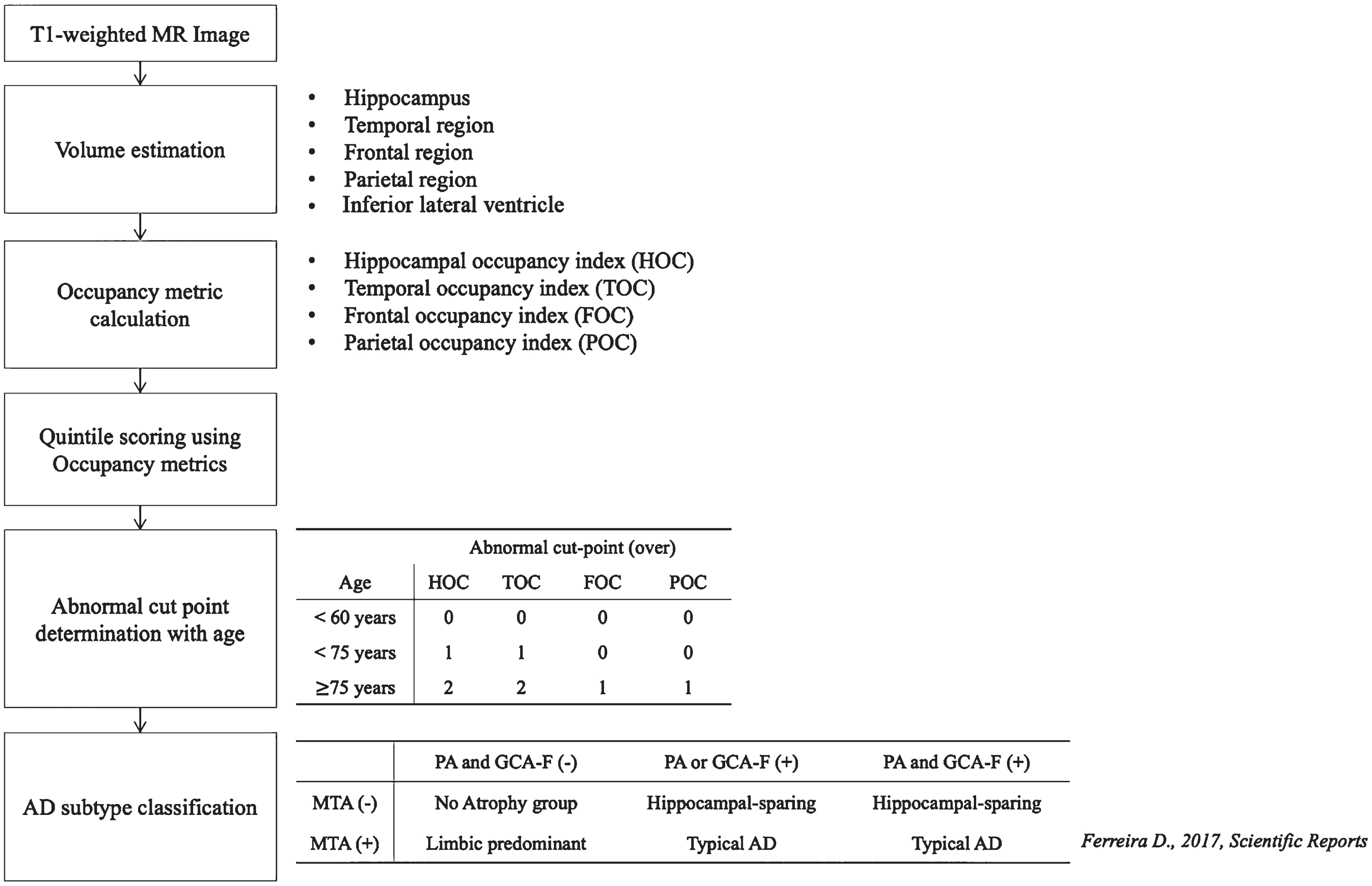 Flowchart of study pipeline. AD, Alzheimer’s diseases; MTA, medial temporal atrophy score; GCA-F, global cortical atrophy score of the frontal lobe; PA, posterior atrophy score; HOC, hippocampus occupancy index; TOC, medial temporal lobe occupancy index; FOC, frontal lobe occupancy index; POC, parietal lobe occupancy index; (–), normal; (+), abnormal.