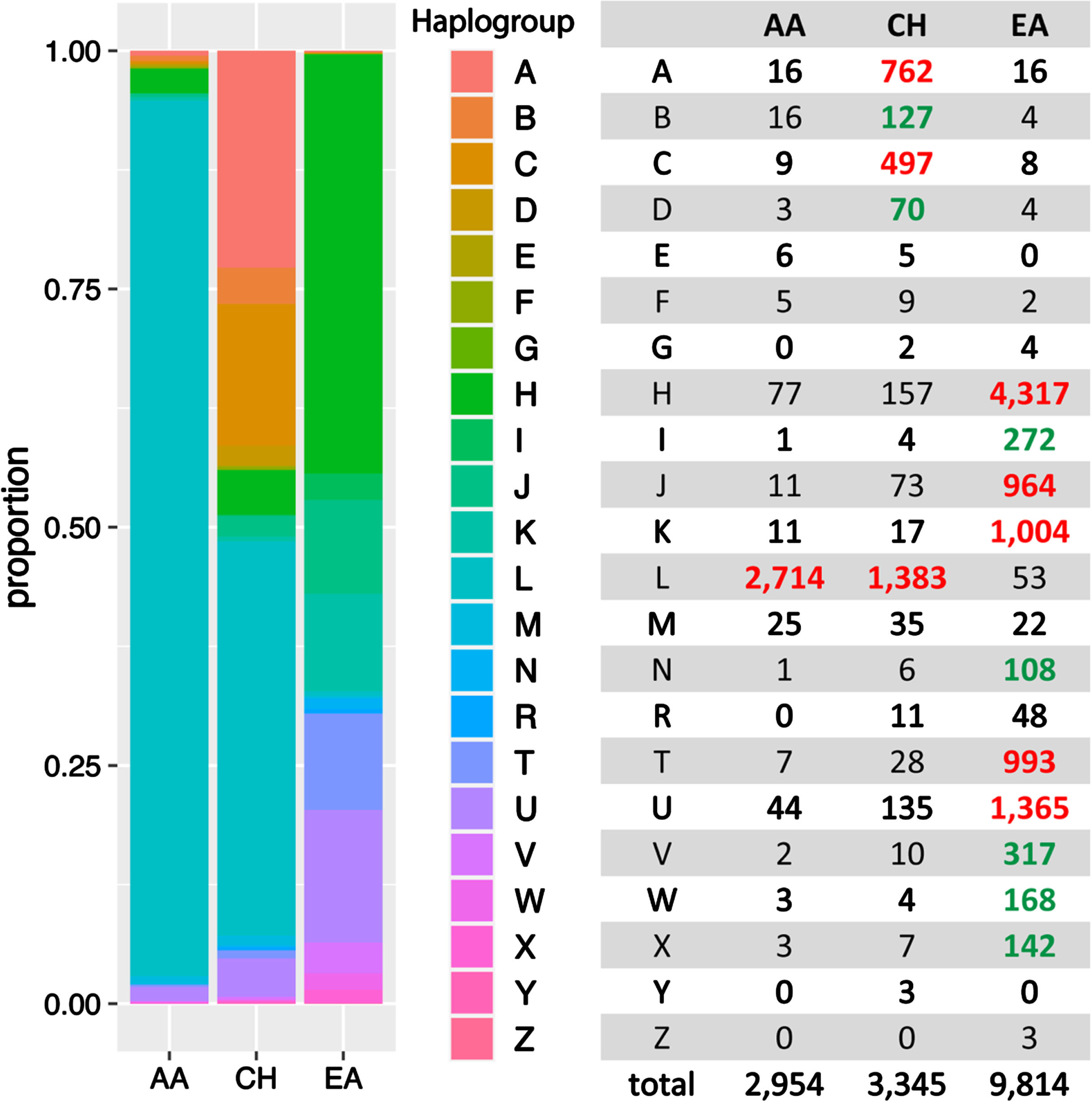 MT haplogroup distribution in African American (AA), Caribbean Hispanic (CH), and European ancestry (EA) cohorts. Bolded numbers indicate that the haplogroup is more predominant in the particular ancestry group compared to other groups. Red-highlighted numbers signify that the haplogroup constitutes more than 5% within the ancestry, while green-highlighted numbers indicate that the haplogroup comprises less than 5%, yet the frequency is 5-fold greater than in other ancestral groups at least.