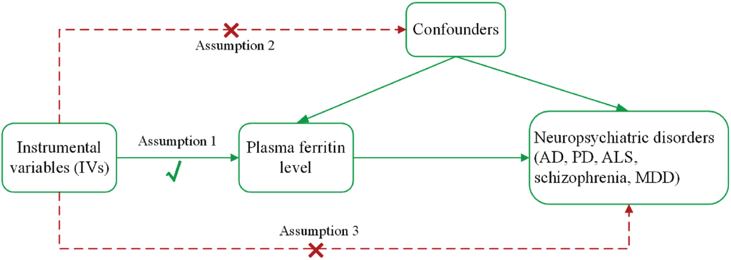 The main assumptions and study design of the Mendelian randomization analysis of plasma ferritin and neuropsychiatric disorders. AD, Alzheimer’s disease; ALS, amyotrophic lateral sclerosis; MDD, major depressive disorder; PD, Parkinson’s disease.