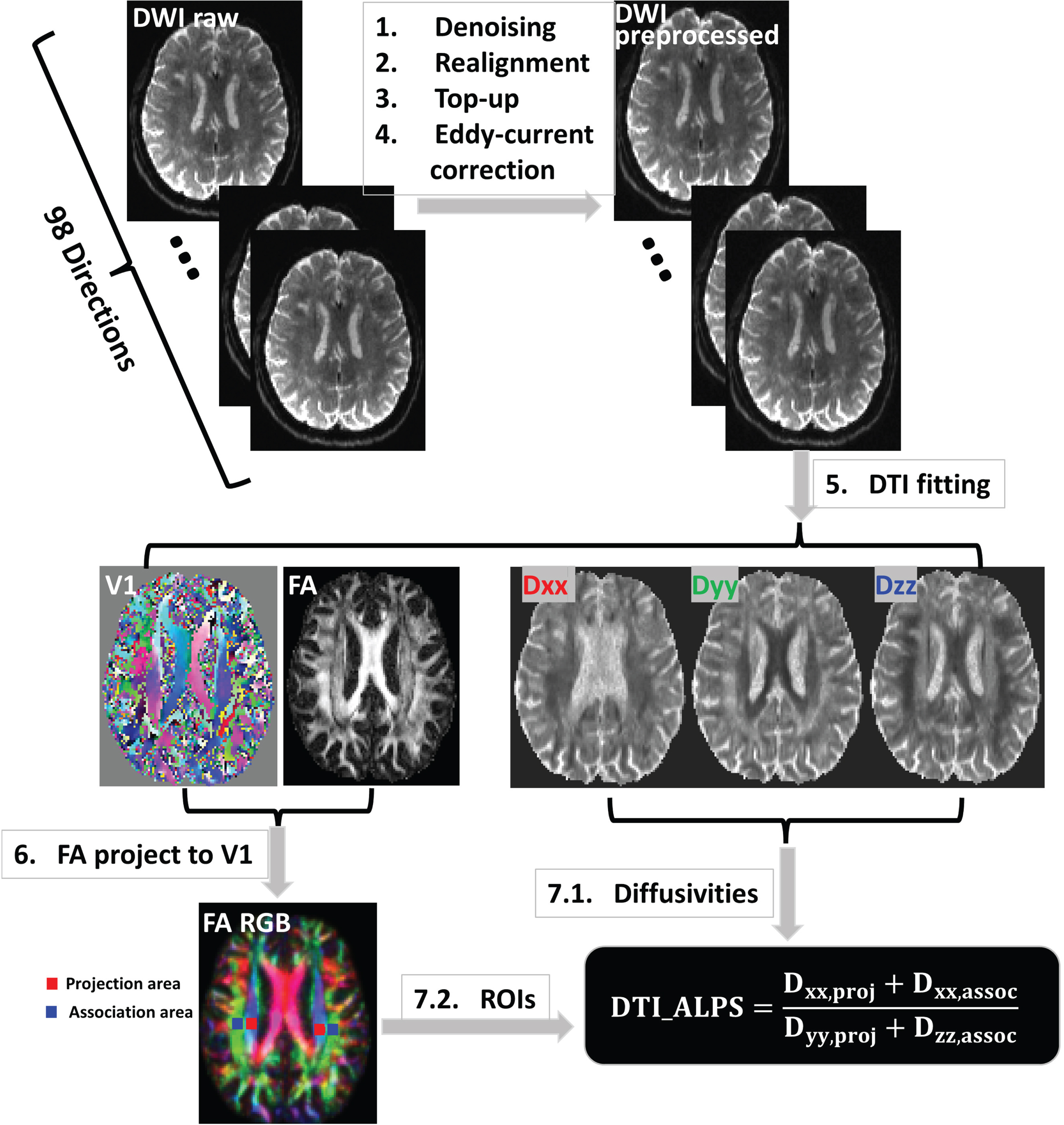 Schematic diagram of image acquisition, processing, and measurement of DTI-ALPS index.