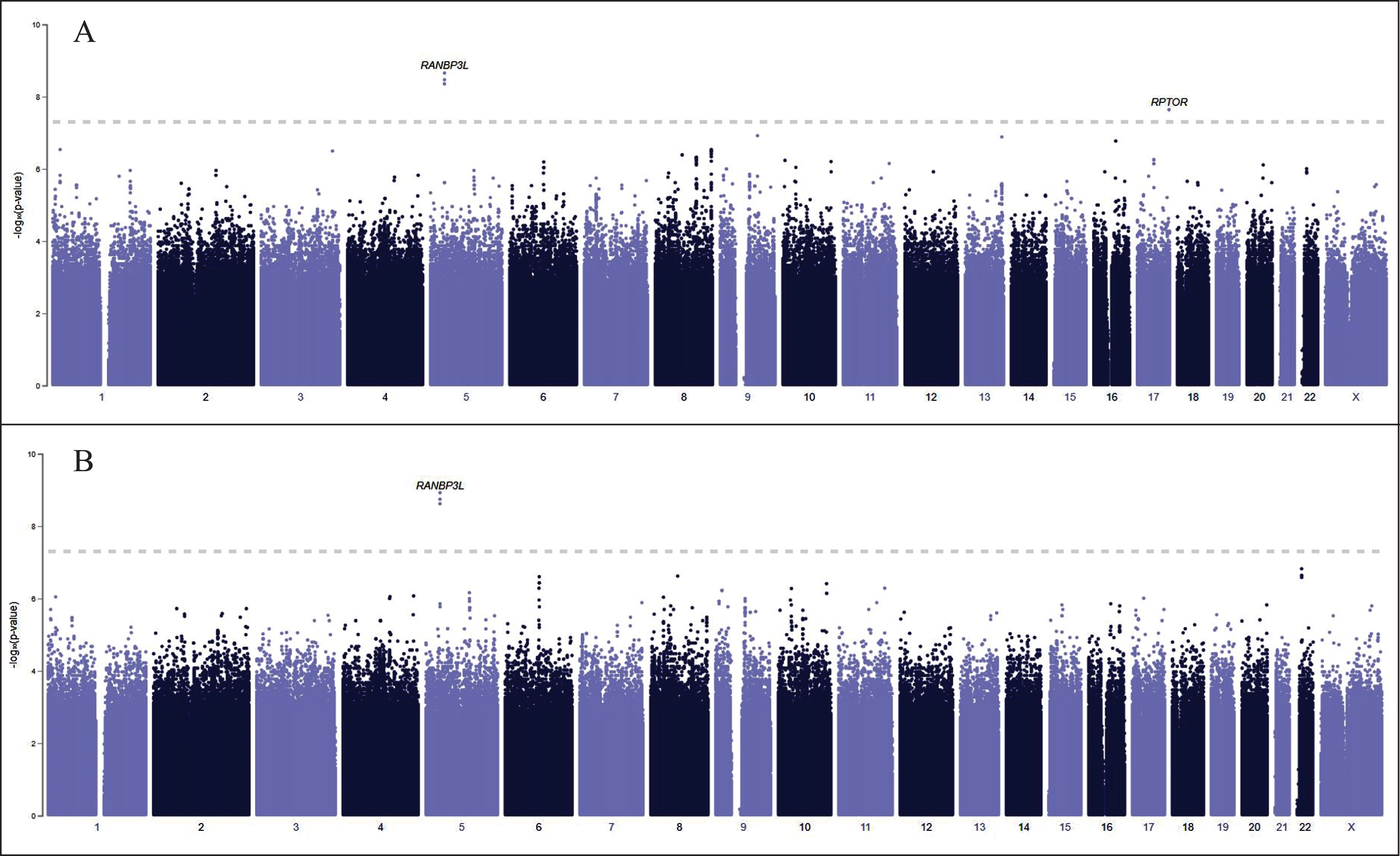 PheWeb GWAS results for 134 cases of encephalitis (A) and 114 cases of non-infectious encephalitis (B). RANBP3 L and RPTOR are significantly associated with encephalitis (A). Most encephalitis cases that have been diagnosed in the United States are infectious, caused by enteroviruses, arboviruses (including the West Nile Virus), and herpes simplex virus types 1 and 2. We have excluded RANBP3 L (B), associated with non-infectious encephalitis, from our analysis.