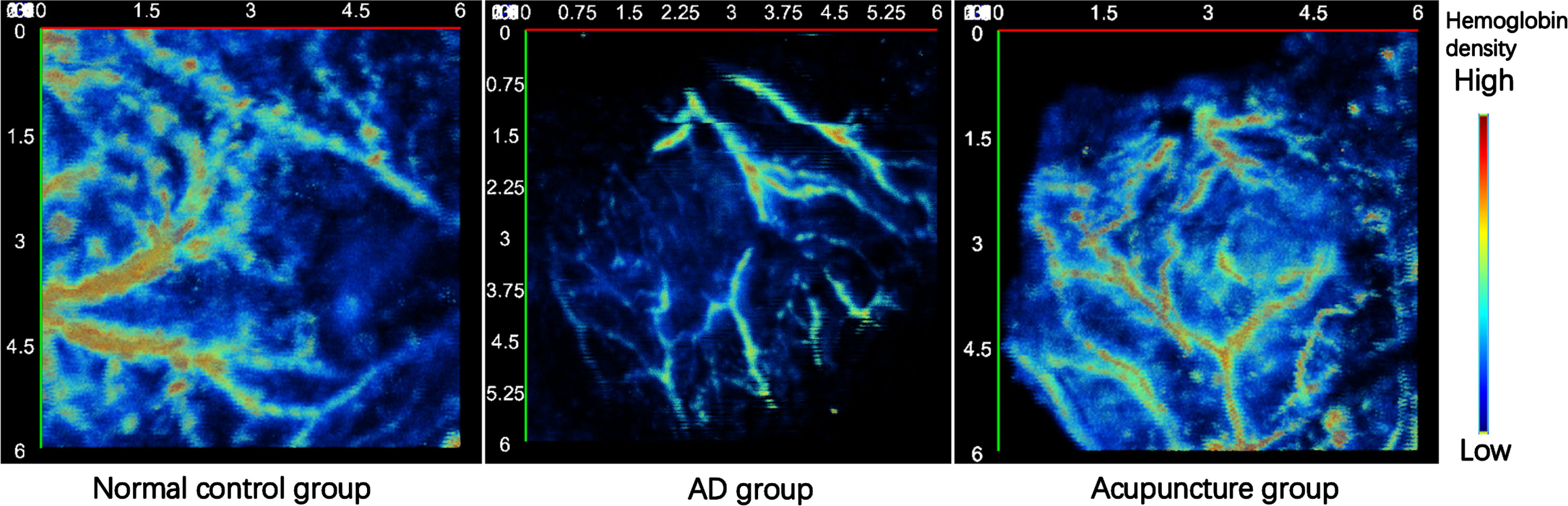 The top view of photoacoustic images of the head region of each group (6 mm×6 mm).