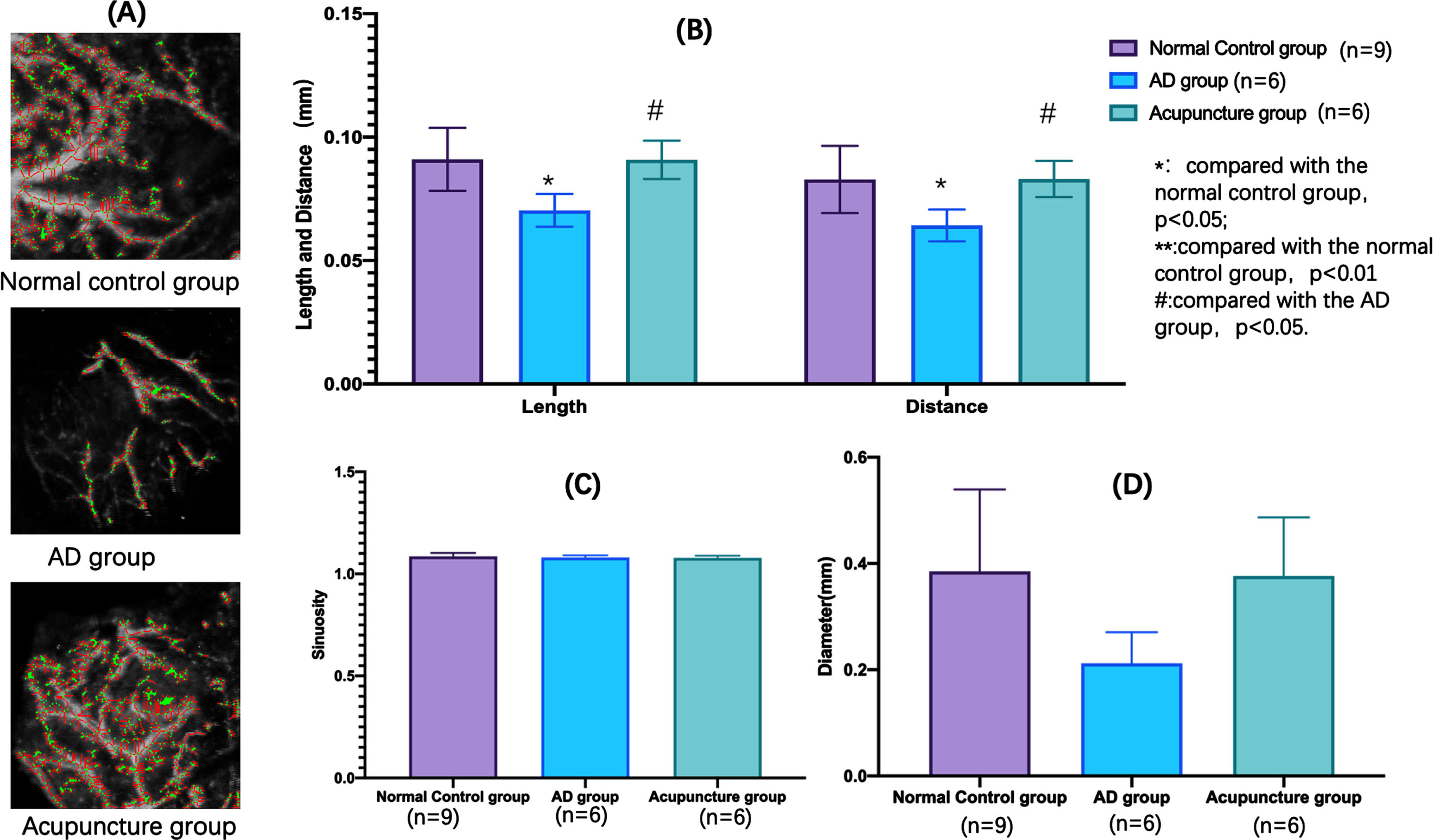 Microcirculation differences at the head region of each group.