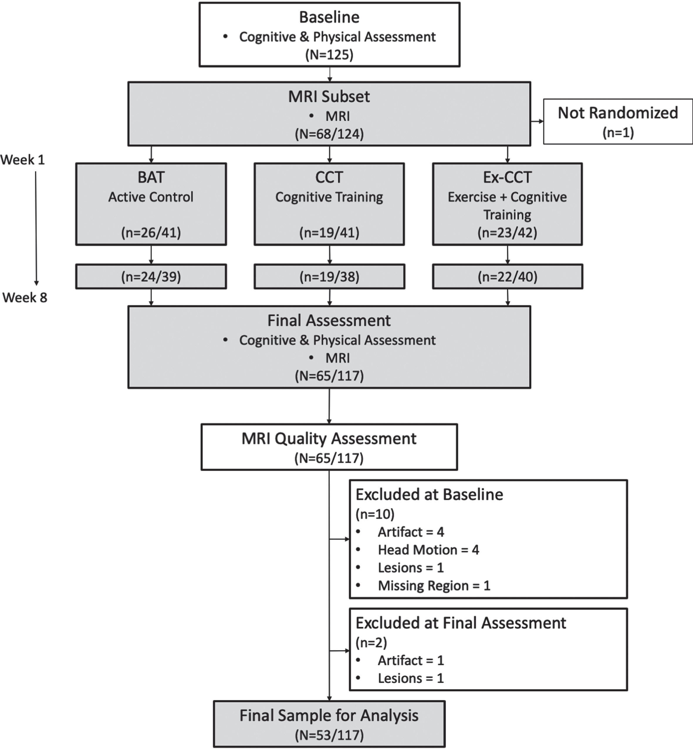 Study design and flow of procedures. Fractions indicate proportion of participants in MRI subset to total sample size.