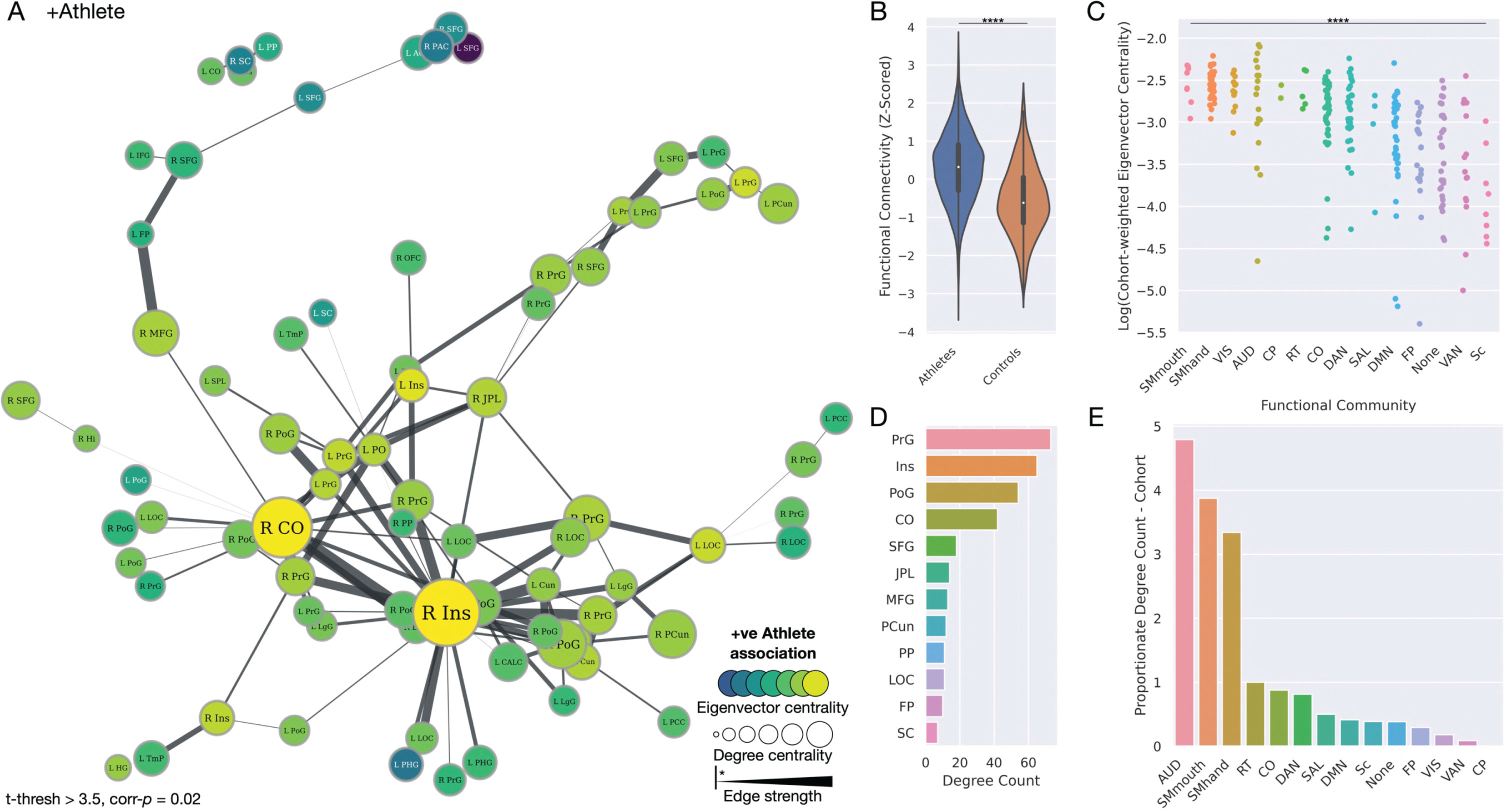 A strengthened functional brain network in athletes. A) Network plot illustrating the significant functional network of increased strength in athletes, with the size of nodes proportionate to their degree centrality, and color proportionate to their group-weighted eigenvector centrality. Edge width is proportionate to the t-statistic of the group difference edge strength. All edges shown are significant. B) Violin plot illustrating functional connectivity of this network to be significantly greater in the athlete group. C) Strip plot illustrating a significant difference in eigenvector centrality of brain regions across all functional communities, weighted by t-statistic of the significant athlete network, ordered by decreasing values of centrality. D) Bar plot depicting degree counts of the most prominent nodes in the network. E) Bar plot illustrating degree counts of functional communities, proportionate to the number of nodes that feature in each community. Community abbreviations: AUD, auditory; CO, cingulo-opercular; CP, cingulo-parietal; DAN, dorsal attention; DMN, default mode network; FP, fronto-parietal; RT, retrosplenial temporal; SAL, salience; Sc, subcortical; SMhand, somatomotor hand; SMmouth, somatomotor mouth; VAN, ventral attention; VIS, visual. Node abbreviations: ACC, anterior cingulate cortex; CALC, intracalcarine cortex; CO, central opercular cortex; Cun, cuneus; FP, frontal pole; Hi, hippocampus; HG, Heschel’s gyrus; IFG, inferior frontal gyrus; Ins, insula cortex; JPL, juxtapositional lobule; L, left; LgG, lingual gyrus; LOC, lateral occipital cortex; MFG, middle frontal gyrus; OFC, orbitofrontal cortex; PAC, paracingulate gyrus; PCC, posterior cingulate cortex; PCun, precuneus cortex; PHG, parahippocampal gyrus; PO, parietal operculum; PoG, postcentral gyrus; PP, planum polare; PrG, precentral gyrus; R right; SC, subcallosal cortex; SFG, superior frontal gyrus; SPL, superior parietal lobule; TmP, temporal pole.