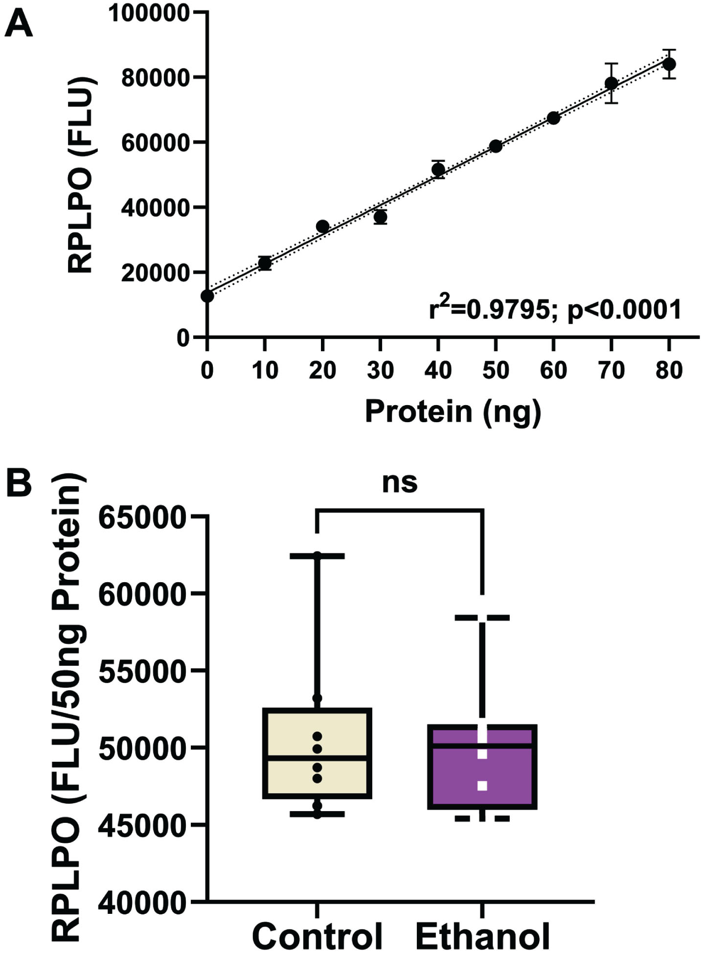 Large acidic ribonuclear protein (RPLPO) immunoreactivity. RPLPO immunoreactivity was used as a normalizing control. A) Immunoreactivity measured by direct binding ELISA is linearly correlated with protein content between 5 ng and 80 ng (r2 = 0.99). B) Boxplots of RPLPO immunoreactivity measured in 50 ng protein homogenate samples from frontal lobe control and ethanol-fed rats (n = 8/group). Inter-group comparisons were made by T-test. RPLPO immunoreactivity was used to normalize results obtained by duplex ELISAs in Fig. 3.