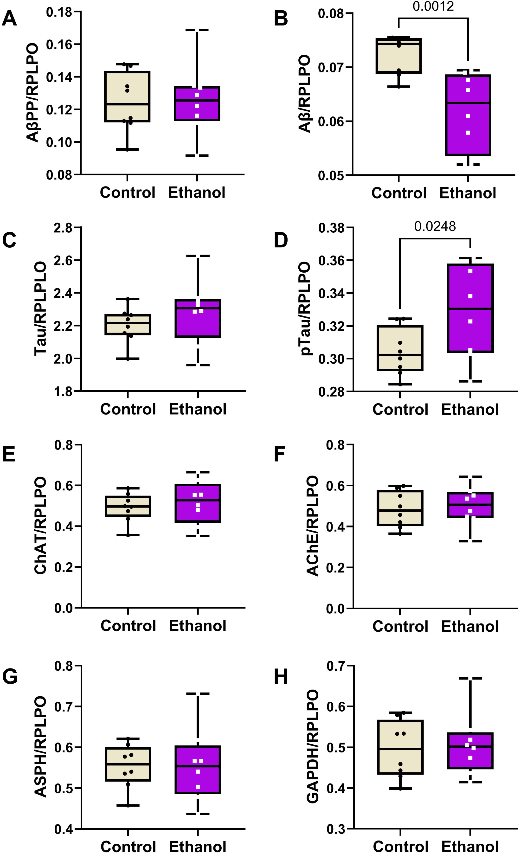 Effects of chronic moderate-level ethanol exposures on Long Evans rat frontal lobe levels of (A) AβPP, (B) Aβ, (C) Tau, (D) pTau, (E) ChAT, (F) AChE, (G) ASPH, and (H) GAPDH immunoreactivities (n = 8/group). Rats were maintained on isocaloric liquid diets containing 24% or 0% caloric ethanol for 2 weeks. Immunoreactivity was measured by duplex ELISA with results normalized to RPLPO. Results are depicted with boxplots that include individual (dots) and mean (horizontal bar) sample values, 95% confidence interval limits (top and bottom box limits), and ranges (stems). Inter-group statistical comparisons were made by two-way ANOVA (Table 3) and post hoc Tukey tests. Significant p-values are displayed within the panels. See Supplementary Figure 1 for heatmap corresponding to the within-group and between-group differences in the levels of immunoreactivity.