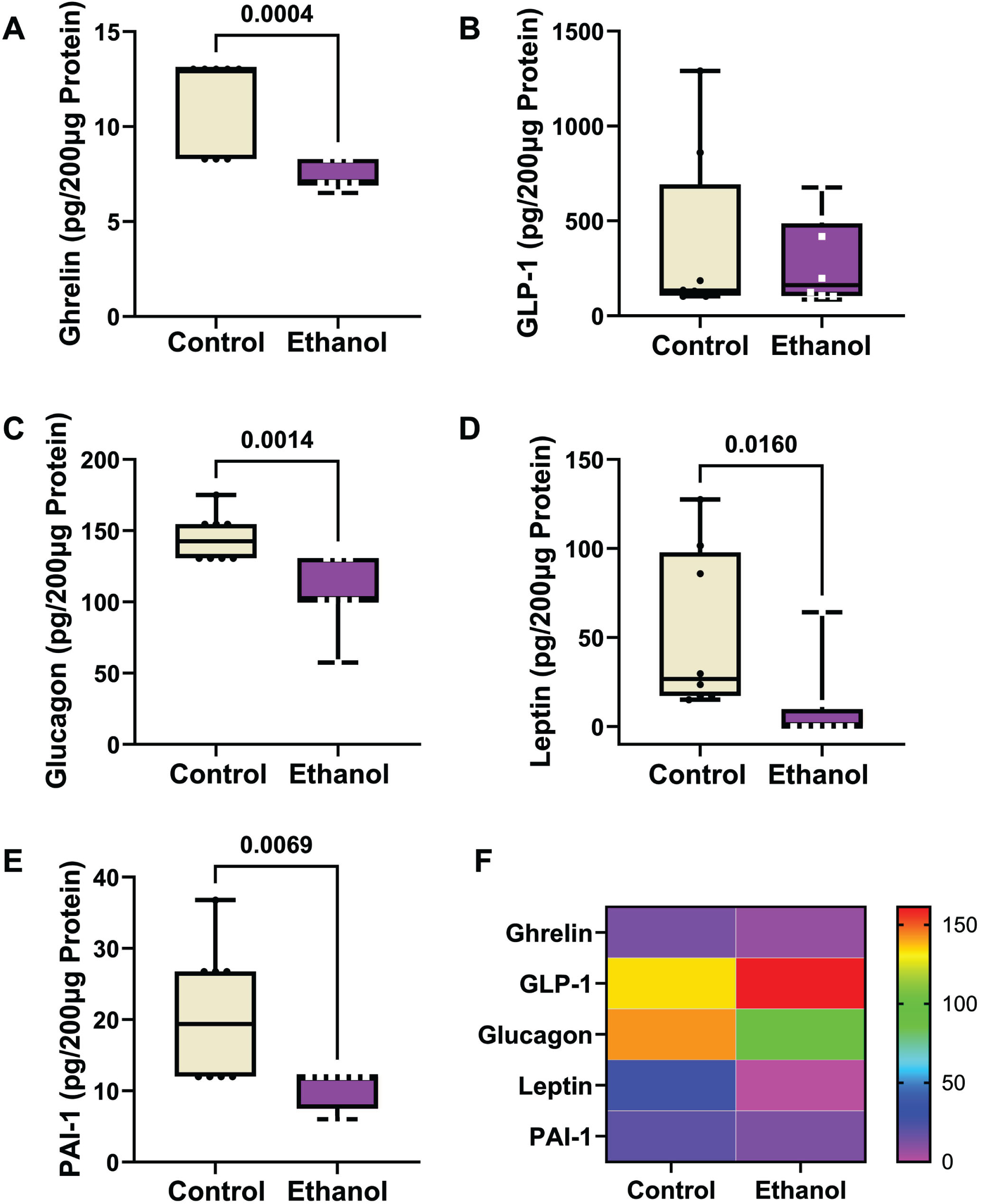 Ethanol exposure effects on frontal lobe expression of (A) ghrelin, (B) GLP-1, (C) glucagon, (D) leptin, and (E) PAI-1. Immunoreactivity was measured with a 5-Plex Diabetes Panel with equivalent amounts of protein per sample. Results are depicted with boxplots. Inter-group statistical comparisons (n = 8/group) were made by two-way ANOVA (Table 3) and post hoc Tukey tests. Significant p-values are displayed within the panels. (F) Heatmap displaying within-group and between-group differences in neuroendocrine polypeptide expression. The scale bar reflects pg/200 μg Protein.