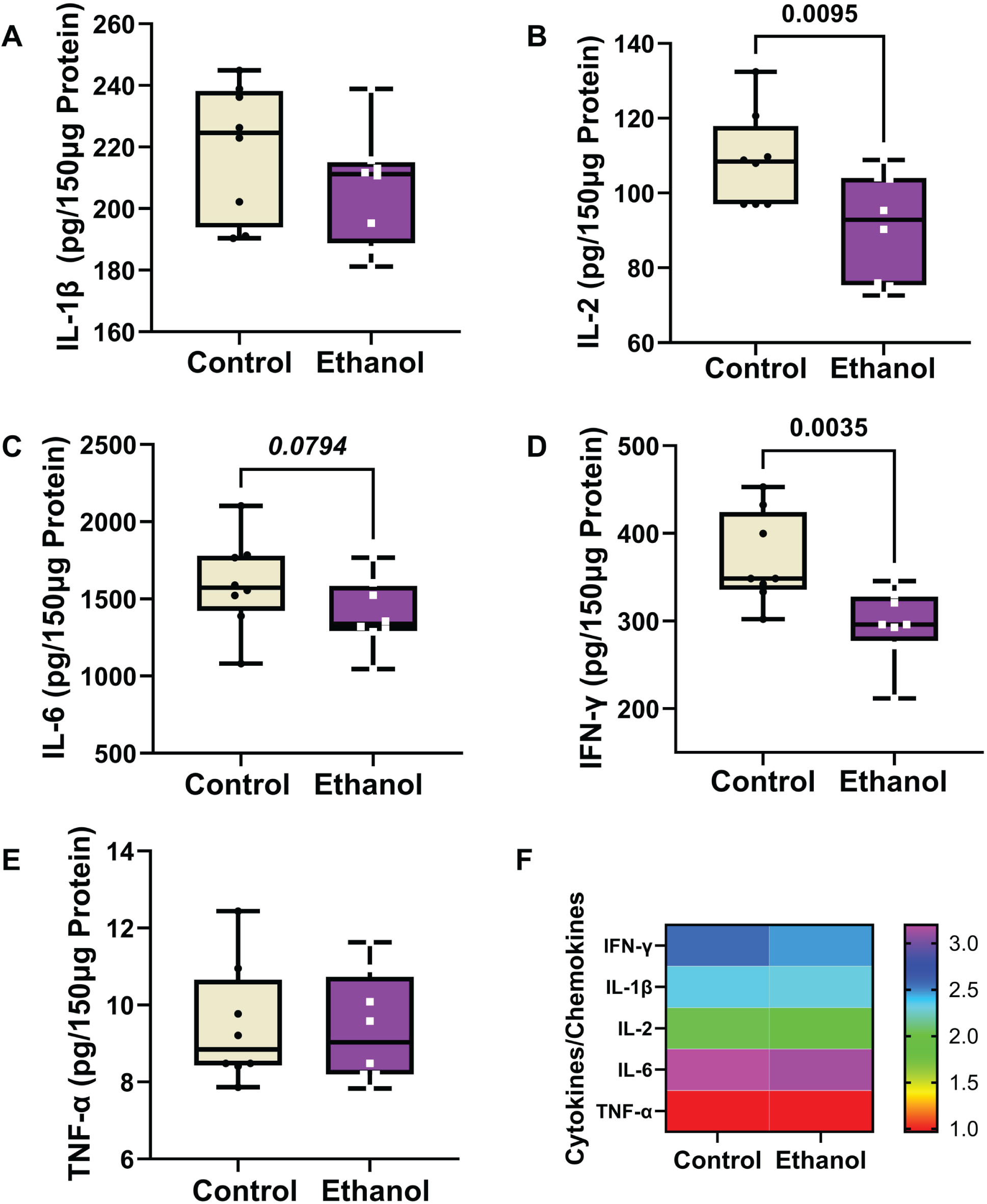 Ethanol exposure effects on frontal lobe expression of (A) IL-1β, (B) IL-2, (C) IL-6, (D) IFN-γ, and (E) TNF-α in Long Evans rats (n = 8/group). Immunoreactivity was measured with a 5-Plex pro-inflammatory cytokine and chemokine panel with equivalent amounts of protein per sample. Results are depicted with boxplots that include individual mean sample values (dots). Inter-group statistical comparisons (n = 8/group) were made by two-way ANOVA (Table 3) and post hoc Tukey tests. Significant p-values are displayed within the panels. (F) Heatmap displaying within-group and between-group differences in cytokine/chemokine expression. The scale bar reflects the Log10-transformed pg/150 μg protein results.