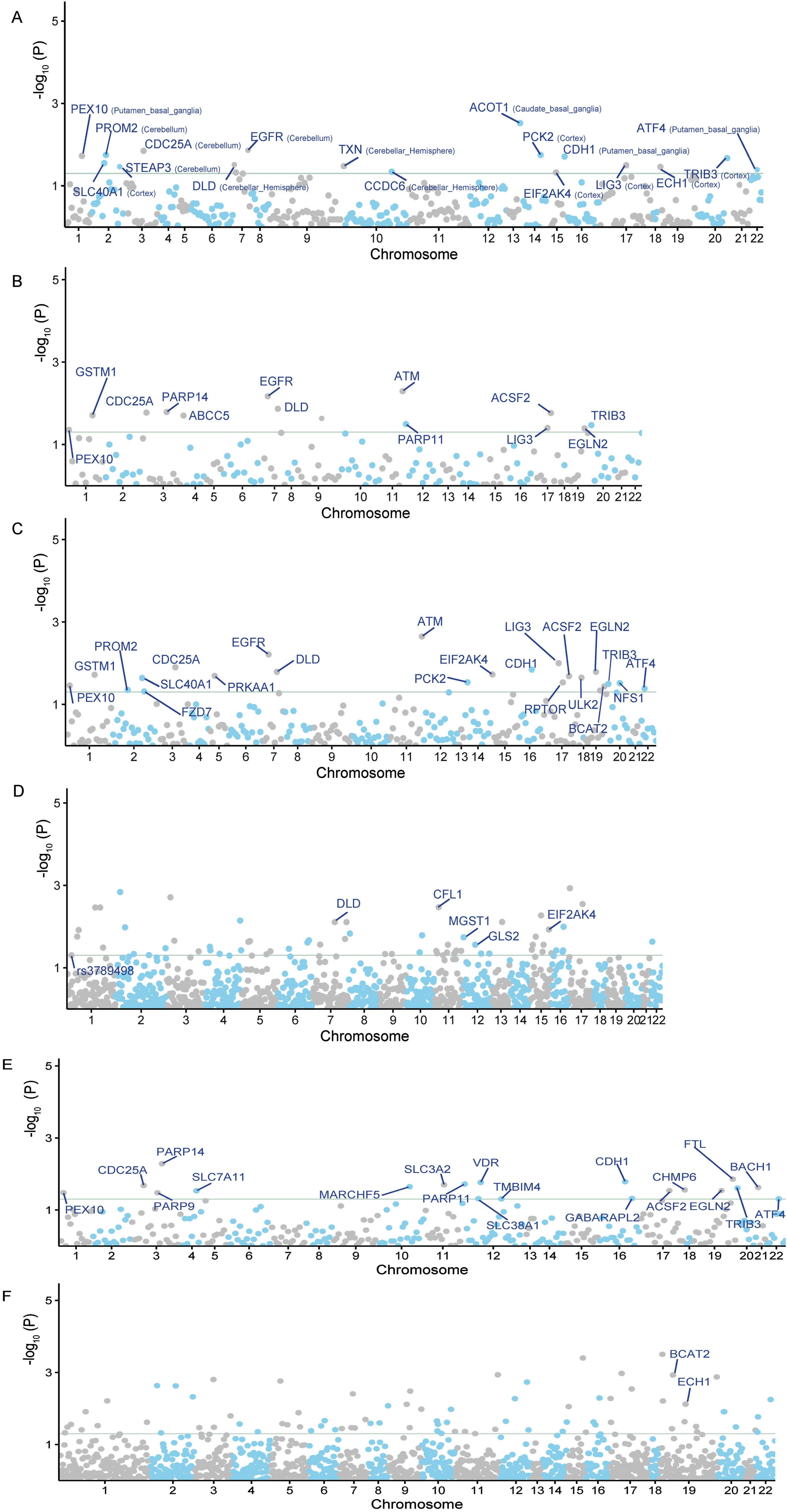 The Manhattan plots of MR analysis results using QTLs and AD GWAS summary statistics. The gray horizontal line is the Bonferroni corrected significant level. A) The MR result using GTEx brain eQTL as instruments; B) The MR result using PsychENCODE eQTL as instruments; C) The MR result using BrainMeta eQTL as instruments; D) The MR result using ROSMAP pQTL as instruments; E) The MR result using cis-eQTL SNPs from eQTLGen Consortium as genetic instruments; F) The MR result using cis-pQTL SNPs from circulating 4,907 proteins levels as genetic instruments.