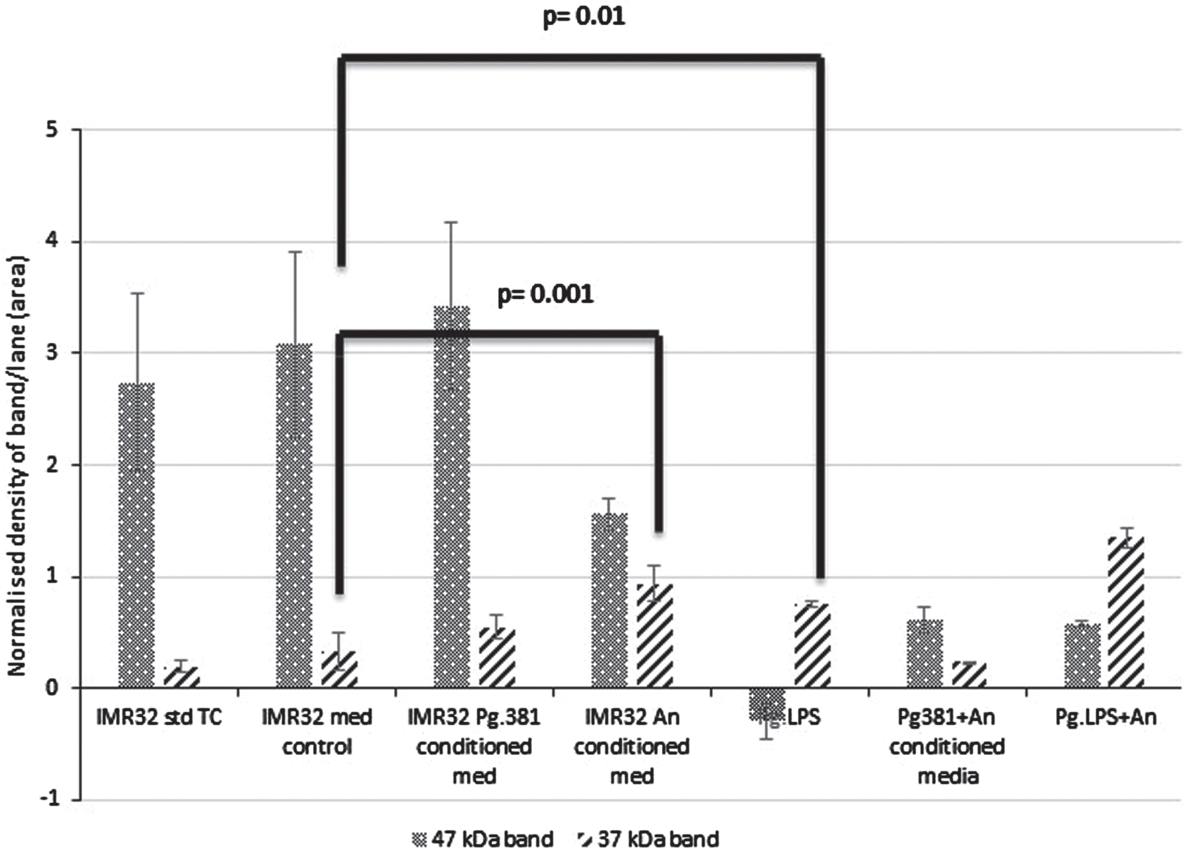 Densitometric analysis of the cell lysate immunoblotted with anti-GSK-3β antibody. All error bars represent standard error of mean. Statistical analysis of the results for the 47 and 37 kDa bands. There was no statistical difference between the control cultures prefixed with IMR-32 std cont (std TC) and IMR-32 med cont (TSB) (p = 0.816). The 47 kDa band: across med control versus all treatment conditions IMR-32 Pg381 conditioned med (p = 0.692); IMR-32 A. naeslundii conditioned medium (p = 0.001); IMR-32 Pg.LPS (p = 0.001); IMR-32 Pg381+An (p = 0.01); Pg.LPS+A. naeslundii (p = 0.01). The 37 kDa band: across med control versus all treatment conditions IMR-32 Pg381 conditioned med (p = 0.369); IMR-32 A. naeslundii conditioned medium (p = 0.001); IMR-32 Pg.LPS (p = 0.01); IMR-32 Pg381+An (p = 0.035); and, Pg.LPS+An (p = 0.001).