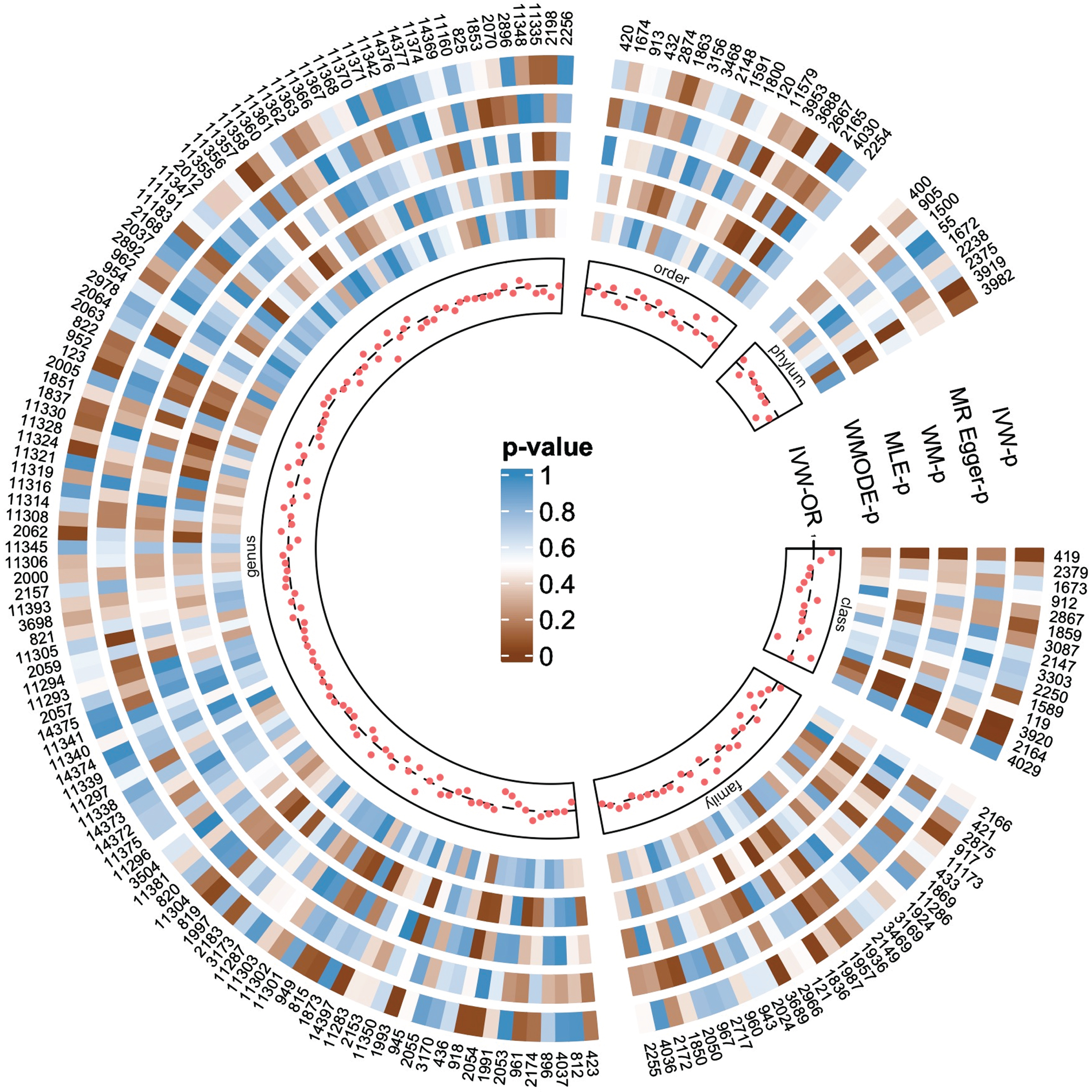 The causal effects of gut microbiota on Alzheimer’s disease were detected by five MR analysis methods. The numbers in the outermost circle are the IDs of each gut microbiota, and their correspondence with the names of the microbiota taxa is shown in Supplementary Table 2. Each red dot represents the estimated causal impact of the gut microbiota on AD using the IVW method, that is, the odds ratio (OR). The dashed line indicates OR = 1. OR < 1 indicates that the microbiota may have a protective effect on AD, otherwise they may be harmful. The circular heat map shows the p-values of five methods from the inside to the outside, including the p-values of WMODE, MLE, WM, MR-Egger and IVW, respectively. The p-value<0.05 is considered to be significant. Each separate block corresponds to a different level of gut microbiota, including phylum, class, order, family and genus. IVW, inverse variance weighting estimation; WMODE, weighted mode, MLE, maximum likelihood estimation; WM, weighted median.