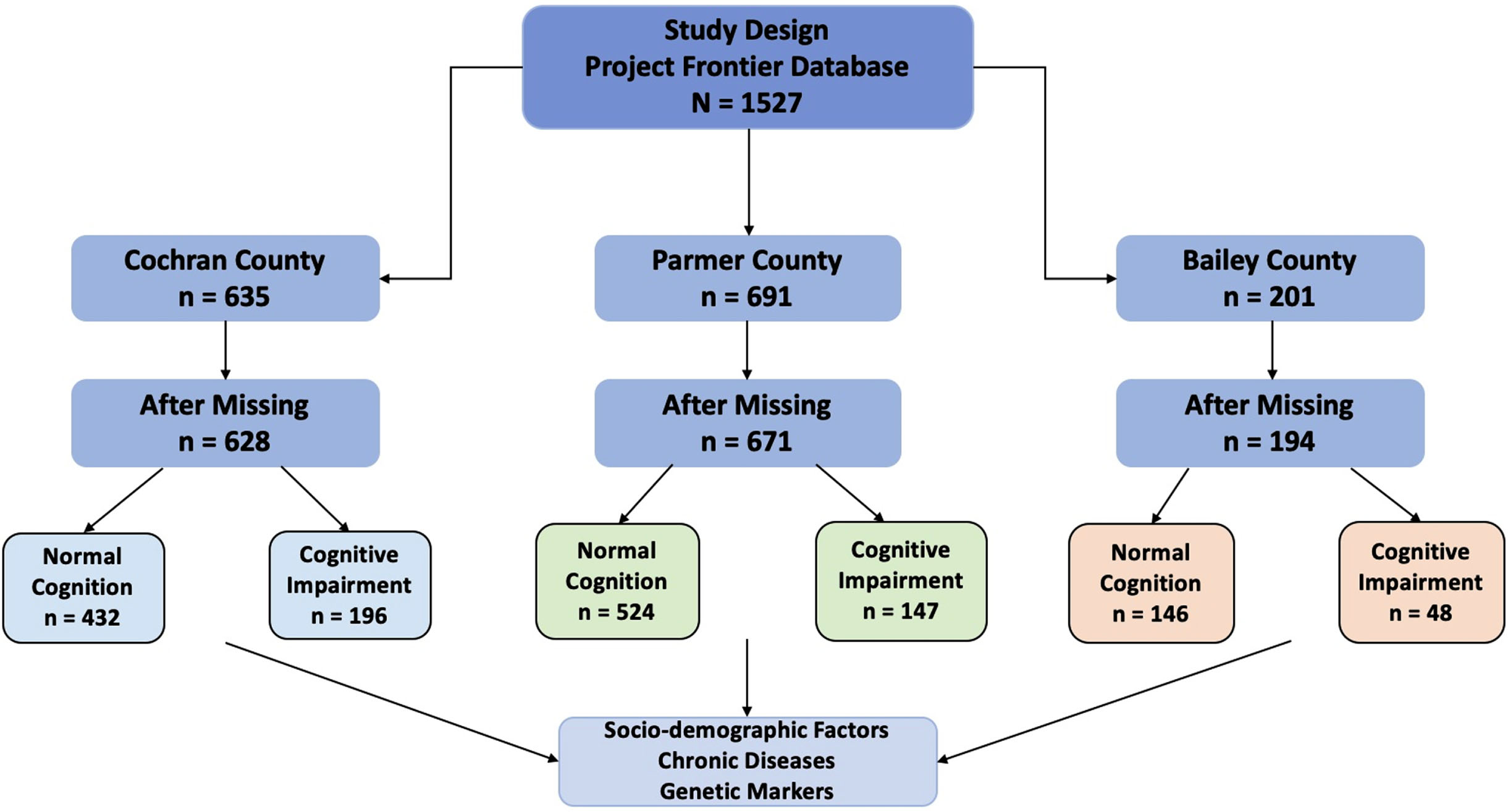 Flow of participants through study. The study consists of Frontier database of Hispanic and non-Hispanic white participants (N = 1,527), who were eligible at ages 40 or above and lived in one of the counties (Cochran, Parmer, and Bailey). Participants completed their background check with sociodemographic, chronic diseases, and genetic markers as per questionnaire. After removing, small percent of missing data due to non-response error, the number of normal cognition (n = 432) and cognition impairments (n = 196) were counted for Cochran County, similarly, for Parmer County: normal cognition (n = 524) and cognition impairments (n = 147), and Bailey County: normal cognition (n = 146) and cognition impairments (n = 48), respectively. The eligible participants’ data on sociodemographic, chronic diseases, and genetic markers were organized and analyzed for statistical results.