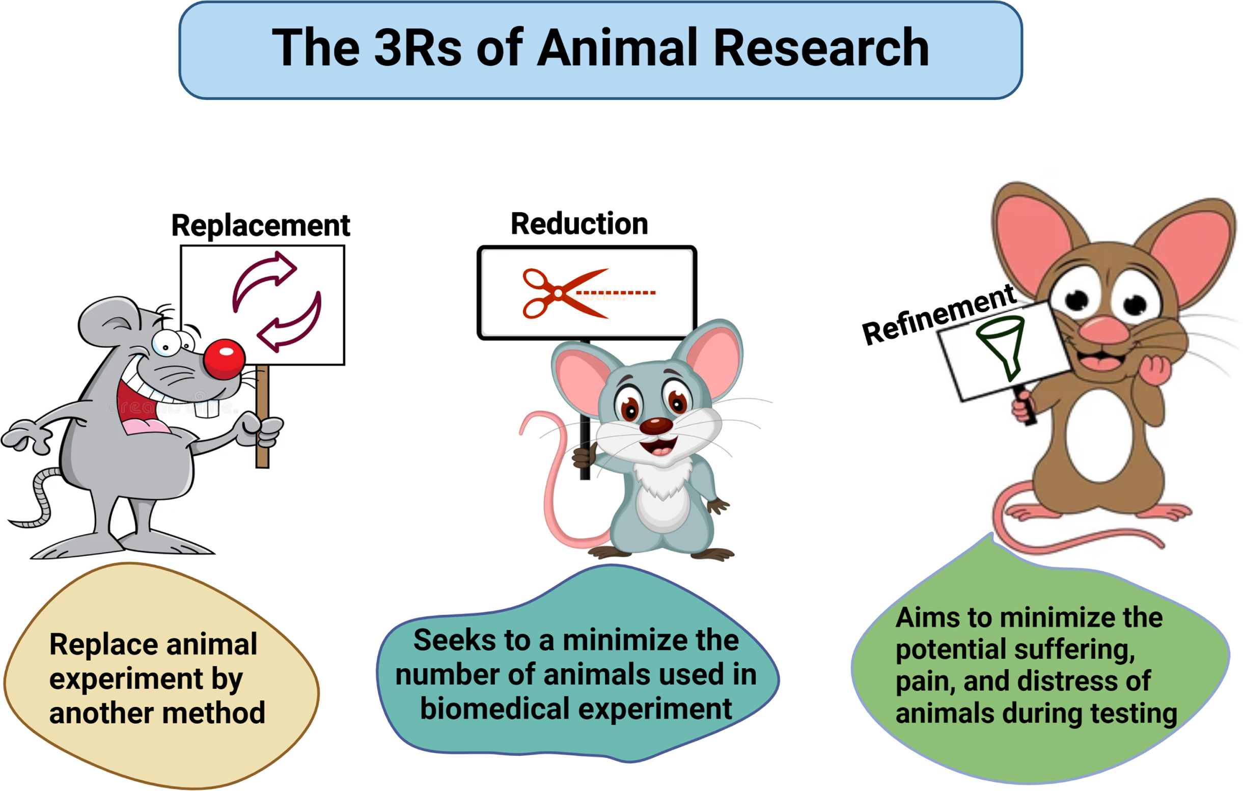 Schematic representation of 3Rs. Researchers must follow the strict guidelines of replacement, reduction, and refinement in practicing animal studies.