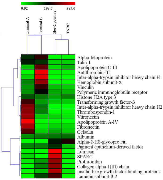 Heatmap generated with top 26 proteins from CAFs secretome of different molecular subtypes. Breast cancer molecular subtypes had differential expression of proteins.