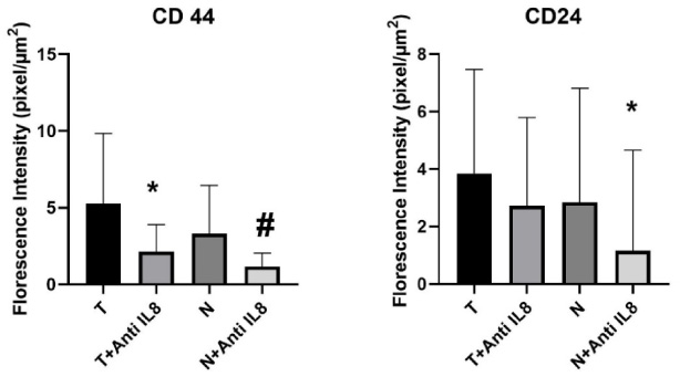 Graphical representation of CSCs maintenance level via CD44/CD24 expression within the tumor and normal tissue culture systems. Data presented as mean ± SD. CD44: ∗significant from T, #significant from N, no significant difference observed between (T + anti-IL-8 versus N + anti-IL-8). CD24: ∗significant from N, no significant difference observed between (T versus T + anti-IL-8) or (T + anti-IL8 versus N + anti-IL8).