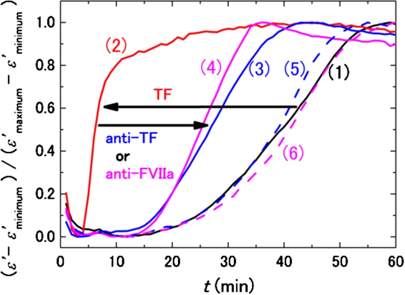 DBCM responses from a healthy subject at 10 MHz normalized by the minimum and maximum values of permittivity. The black curve (1) shows the control sample without TF and antibodies, and the red curve (2) demonstrates the acceleration of the DBCM response by addition of TF to the sample blood. Simultaneous addition of TF and anti-TF antibody (3) or TF and anti-FVIIa antibody (4) prolongs the DBCM response in comparison with (2). On the other hand, addition of anti-TF antibody (5) or anti-FVIIa antibody (6) without TF shows responses similar to the control (1).
