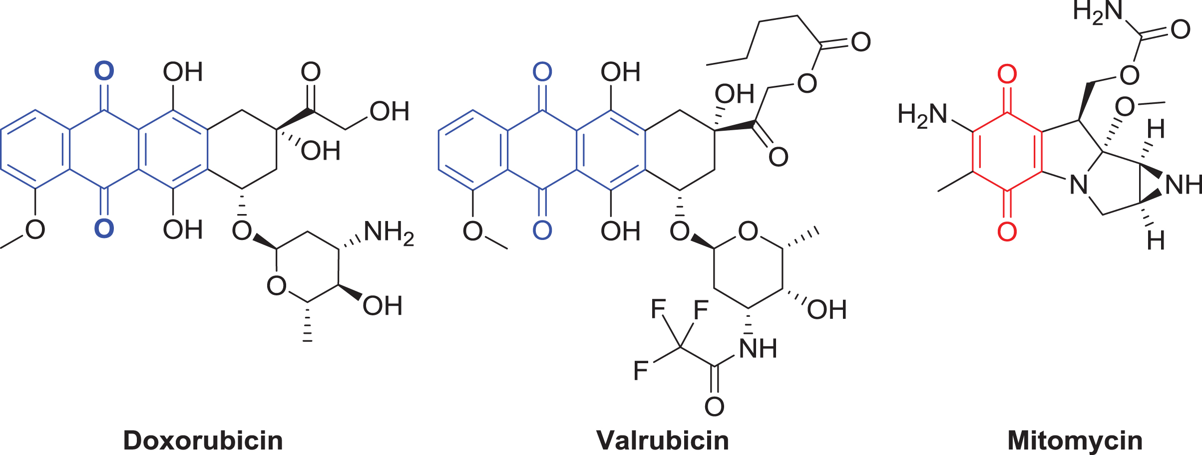 Examples of current chemotherapeutics that contain anthraquinone (3-ring system) and quinone (the basic functional group of a single conjugated cyclic dione) moieties are illustrated above and are highlighted with dashed bond lines. The structures of doxorubicin, valrubicin, and mitomycin are shown.